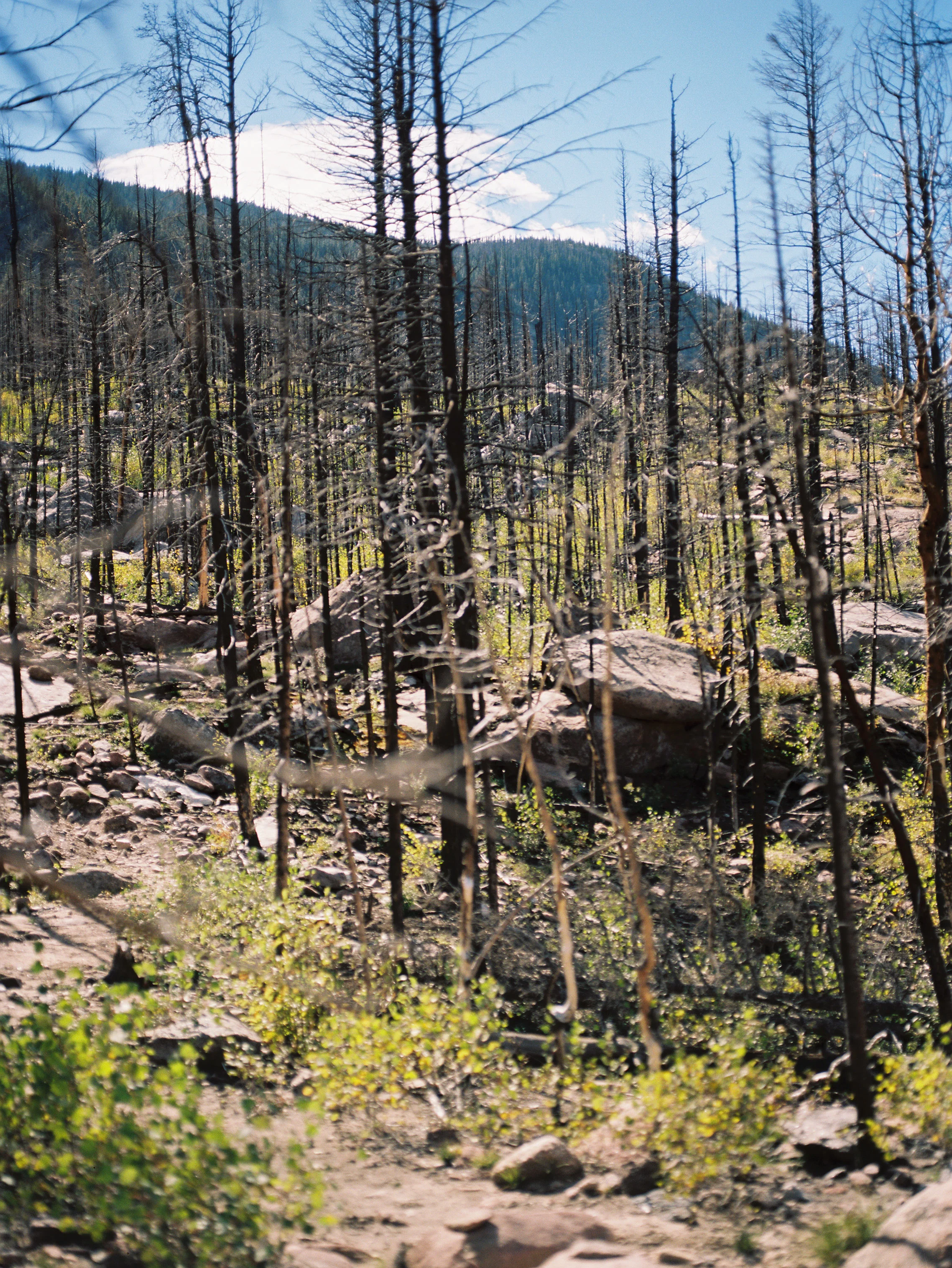 RMNP_Chihuly-17.jpg