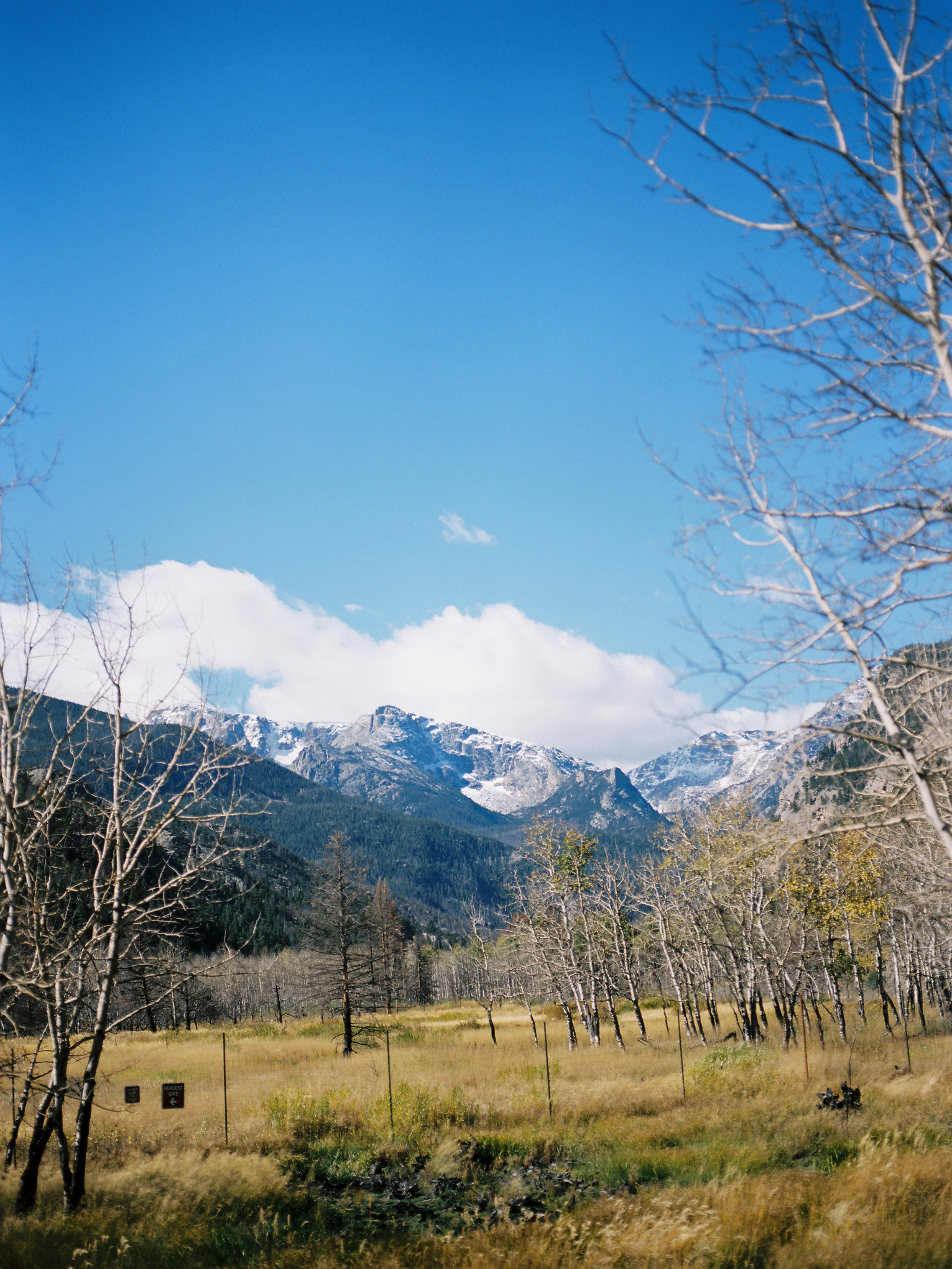 RMNP_Chihuly-36.jpg