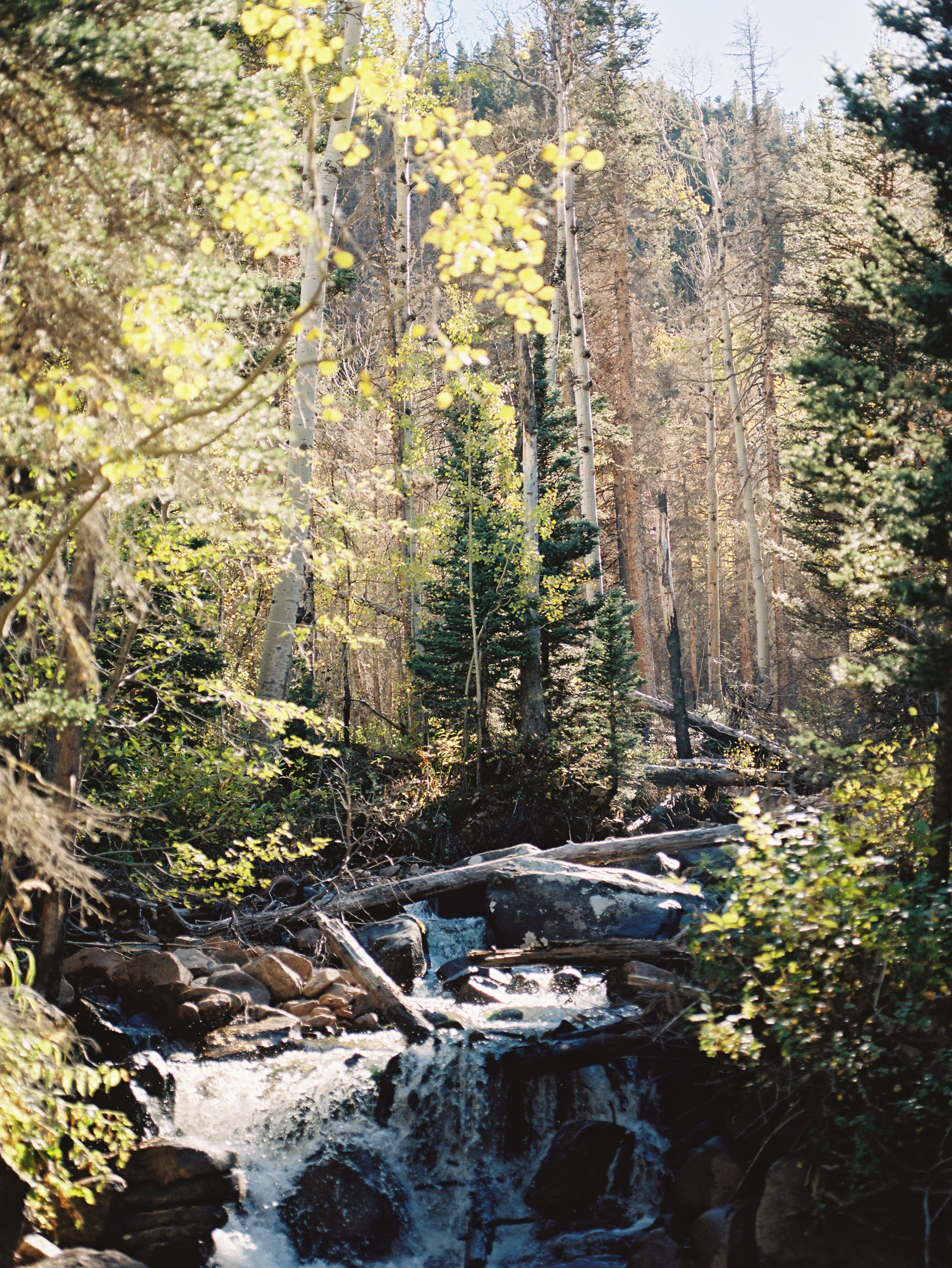 RMNP_Chihuly-45.jpg
