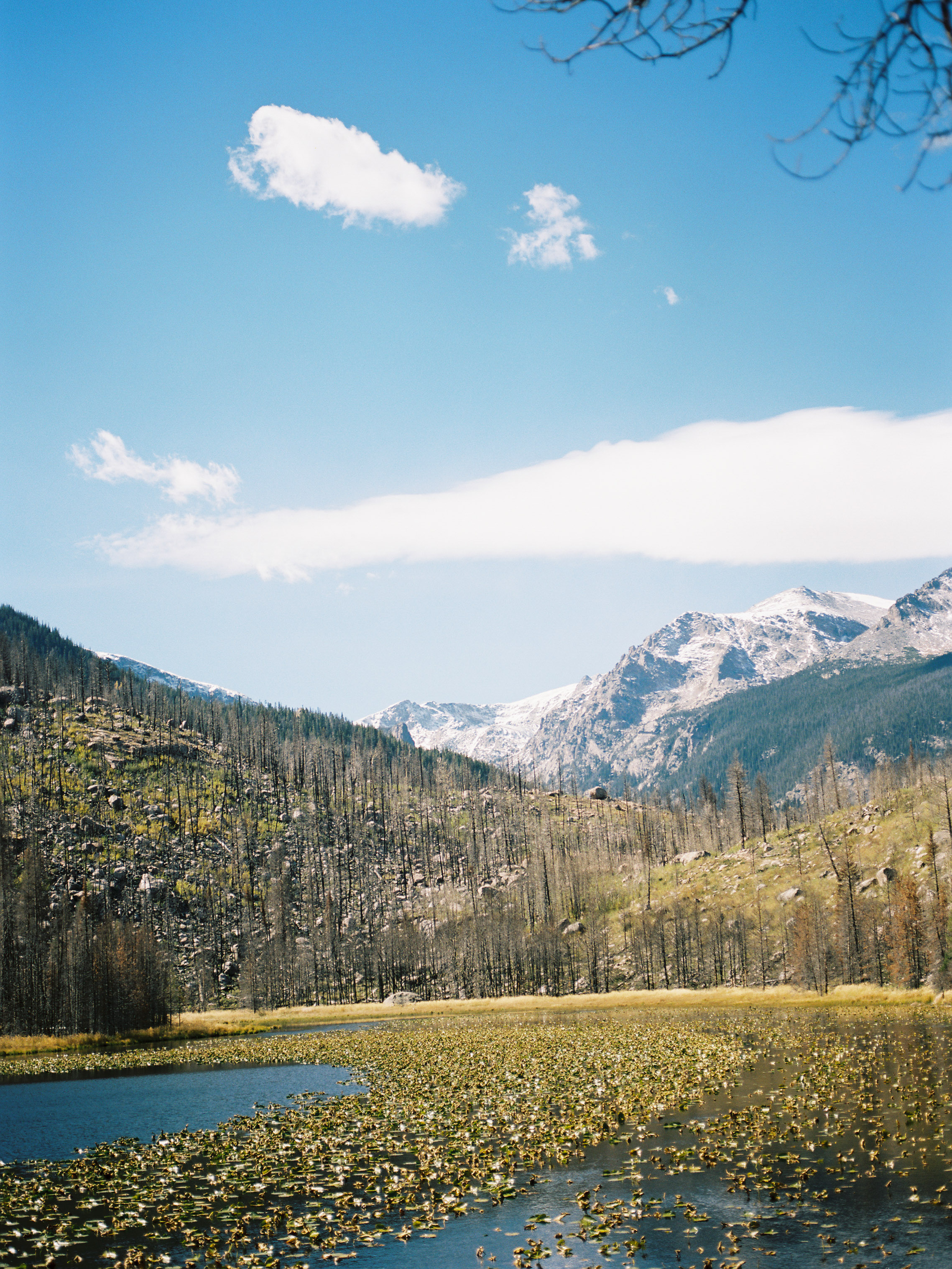 RMNP_Chihuly-63.jpg