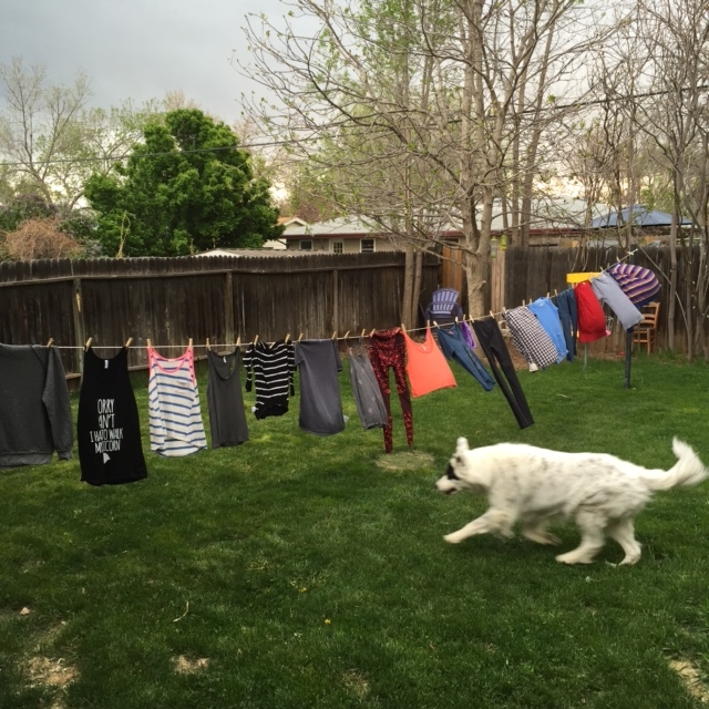  we hung our laundry out to dry on the sunny days, so twice 