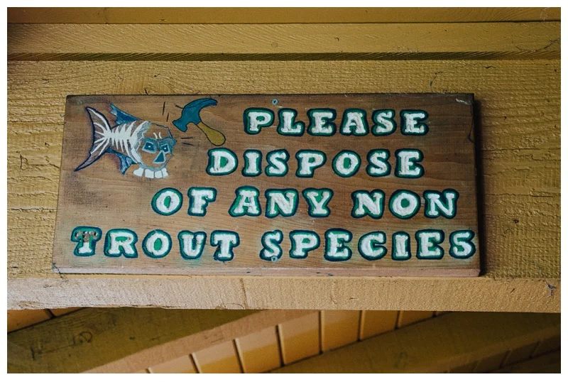 A sign instructing anglers to "Dispose of any non-trout species" at Henderson Springs Ranch near Big Bend and Redding, California. Travel and fishing photography by Max Salzburg of Sonja K Photography.&nbsp;