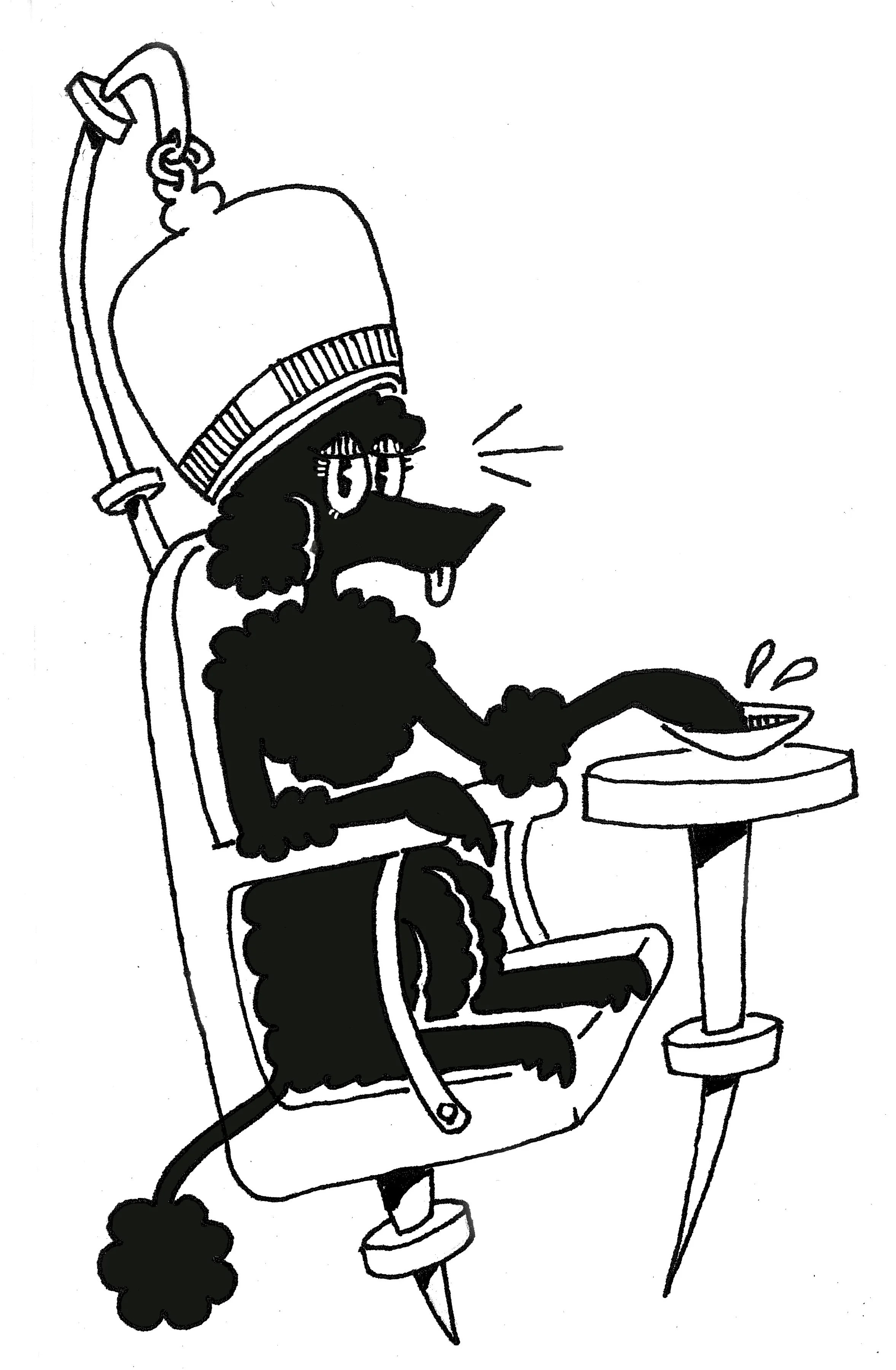 salonpoodle.jpg