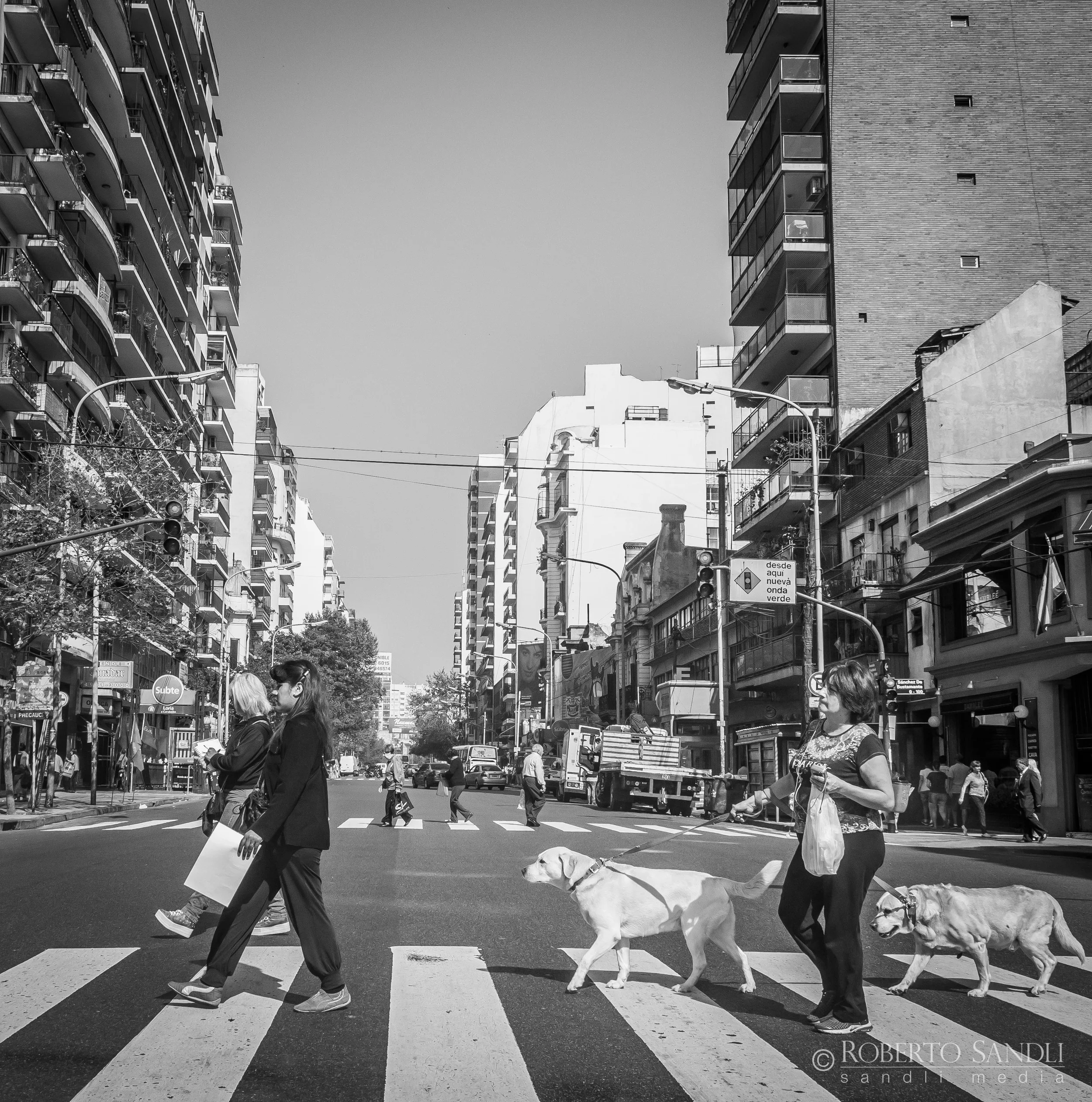 P1000517-2.jpg