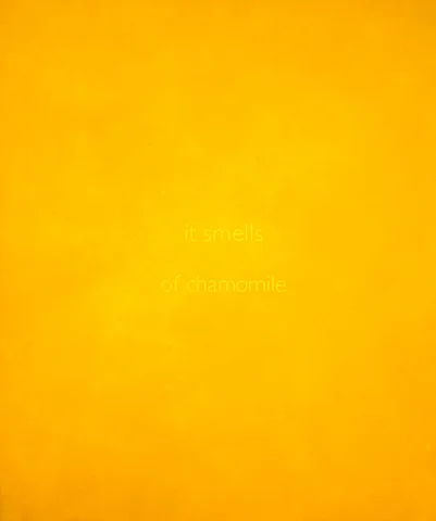 It Smells of Chamomile (Copy)