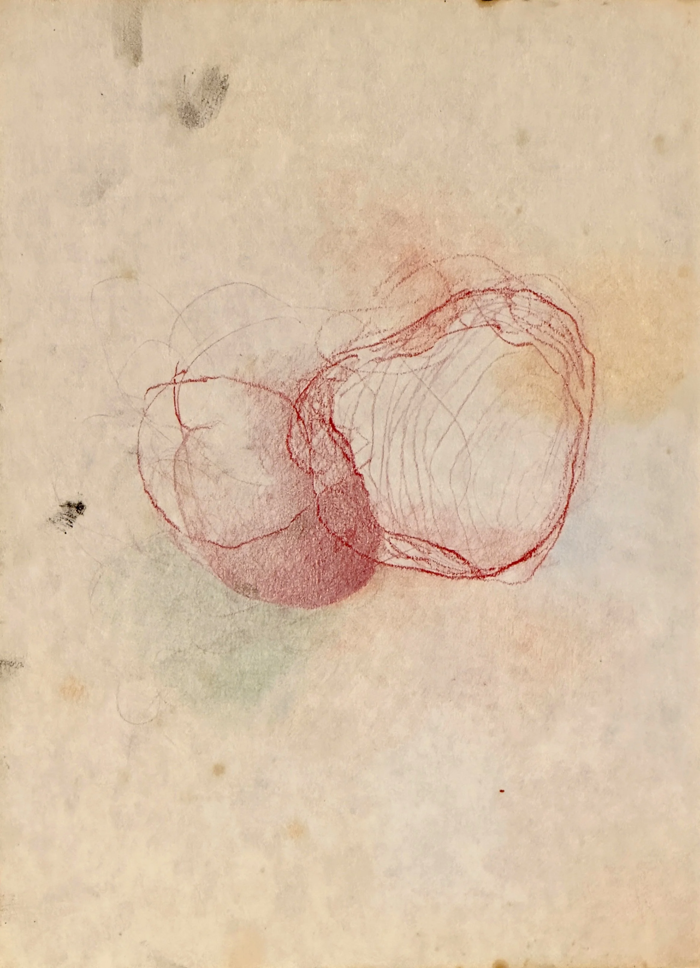  Untitled, 2024, oil pastels, colored pencils and oil on paper, 30 × 22.5 cm 