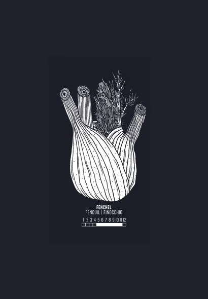 fenchel.jpg
