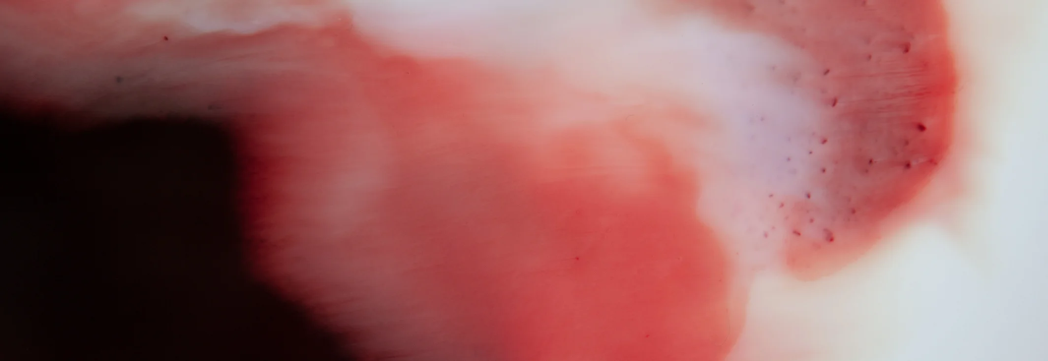 IMG_8192_crop.jpg