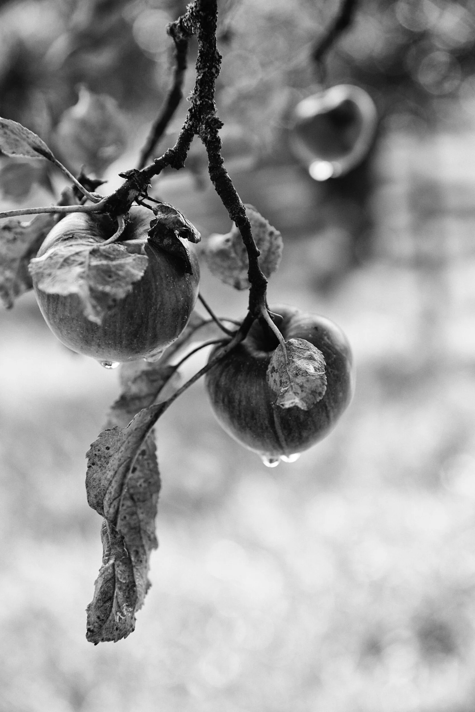 Fotokredit: 2fotografinnen