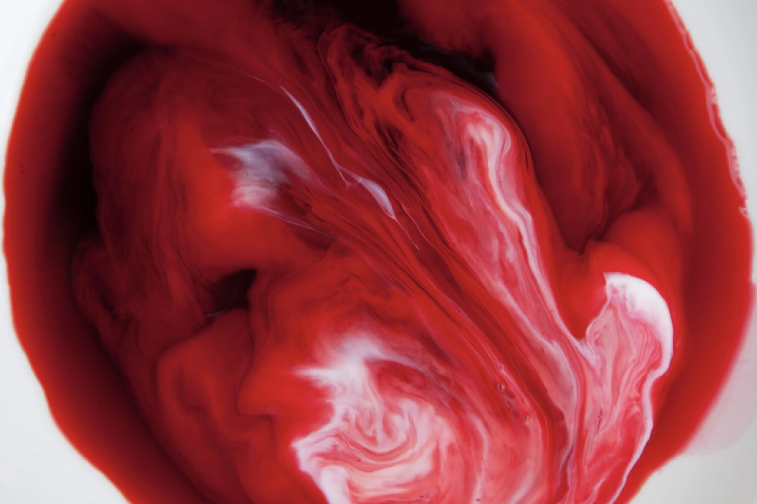 Kochen und Backen mit Blut / 20.03.2022