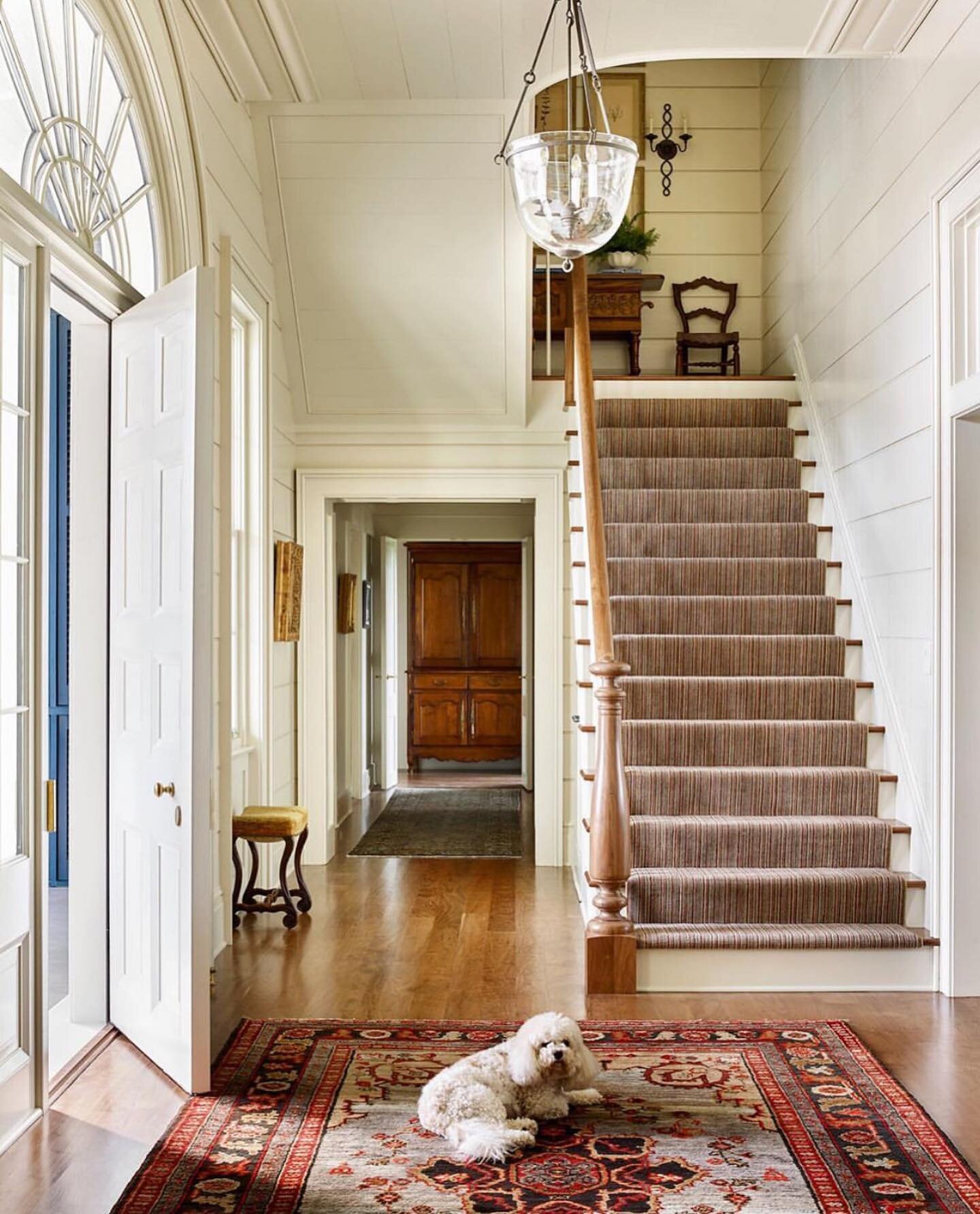 Some of our cutest clients! 🐾 We love designing spaces that everyone in the family will enjoy 🐕 What design elements in your house do your dogs adore? 📷 @emilyfollowillphotographer