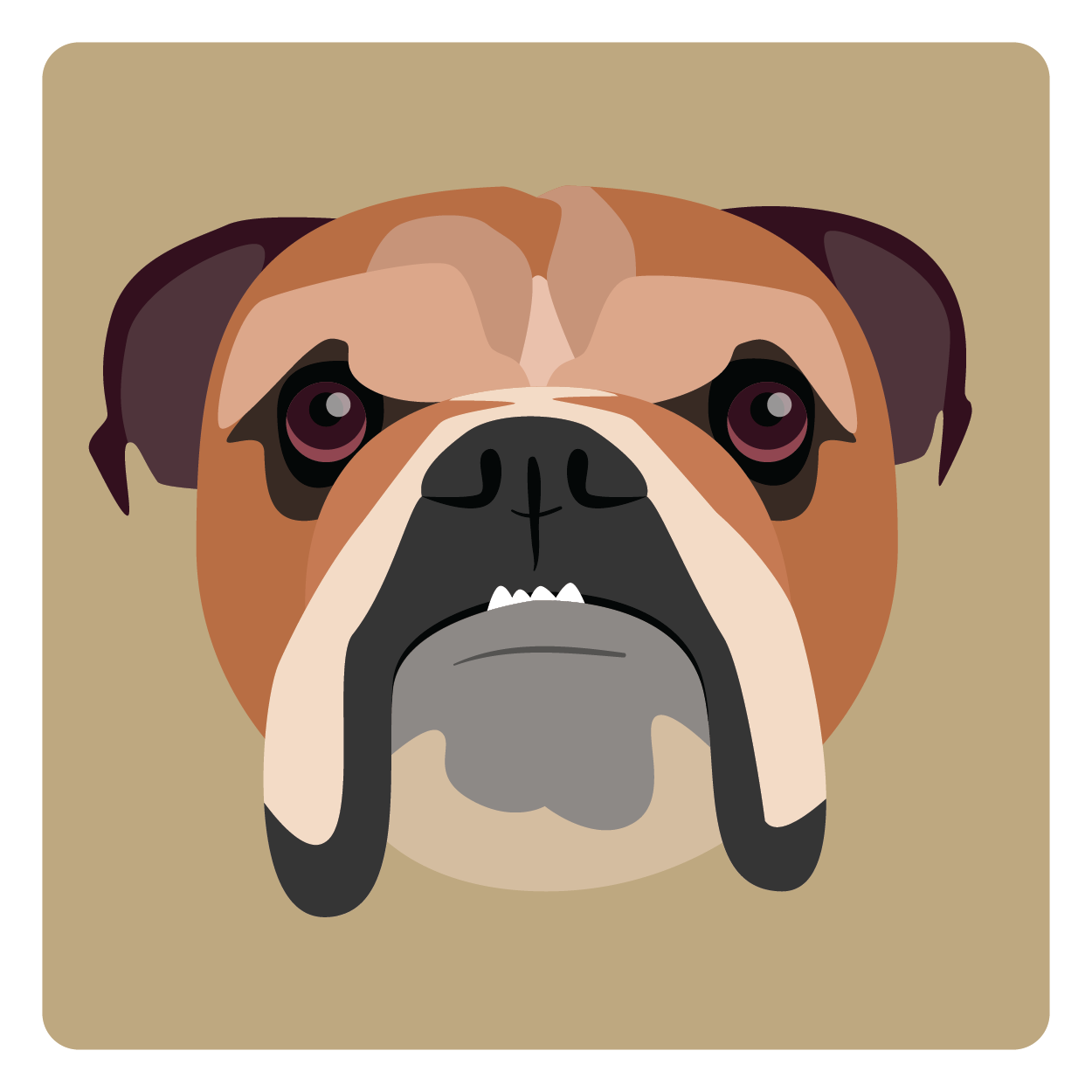 Hey Bulldog