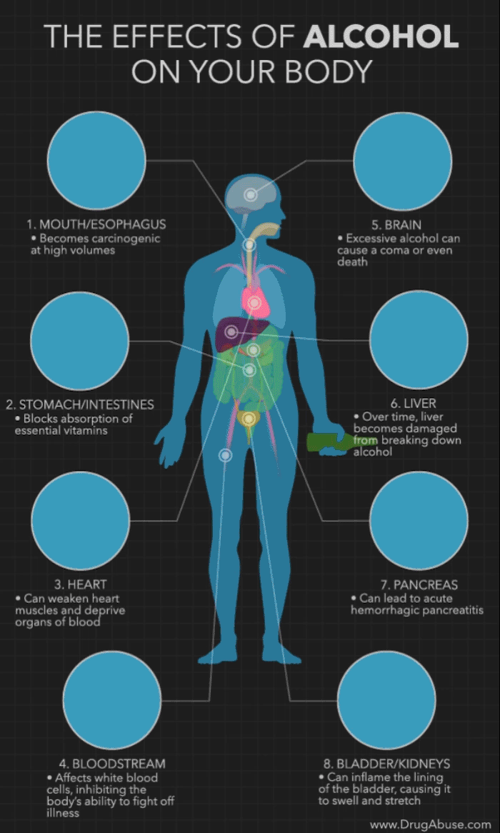 The Effects of Alcohol on the Body Animagraph