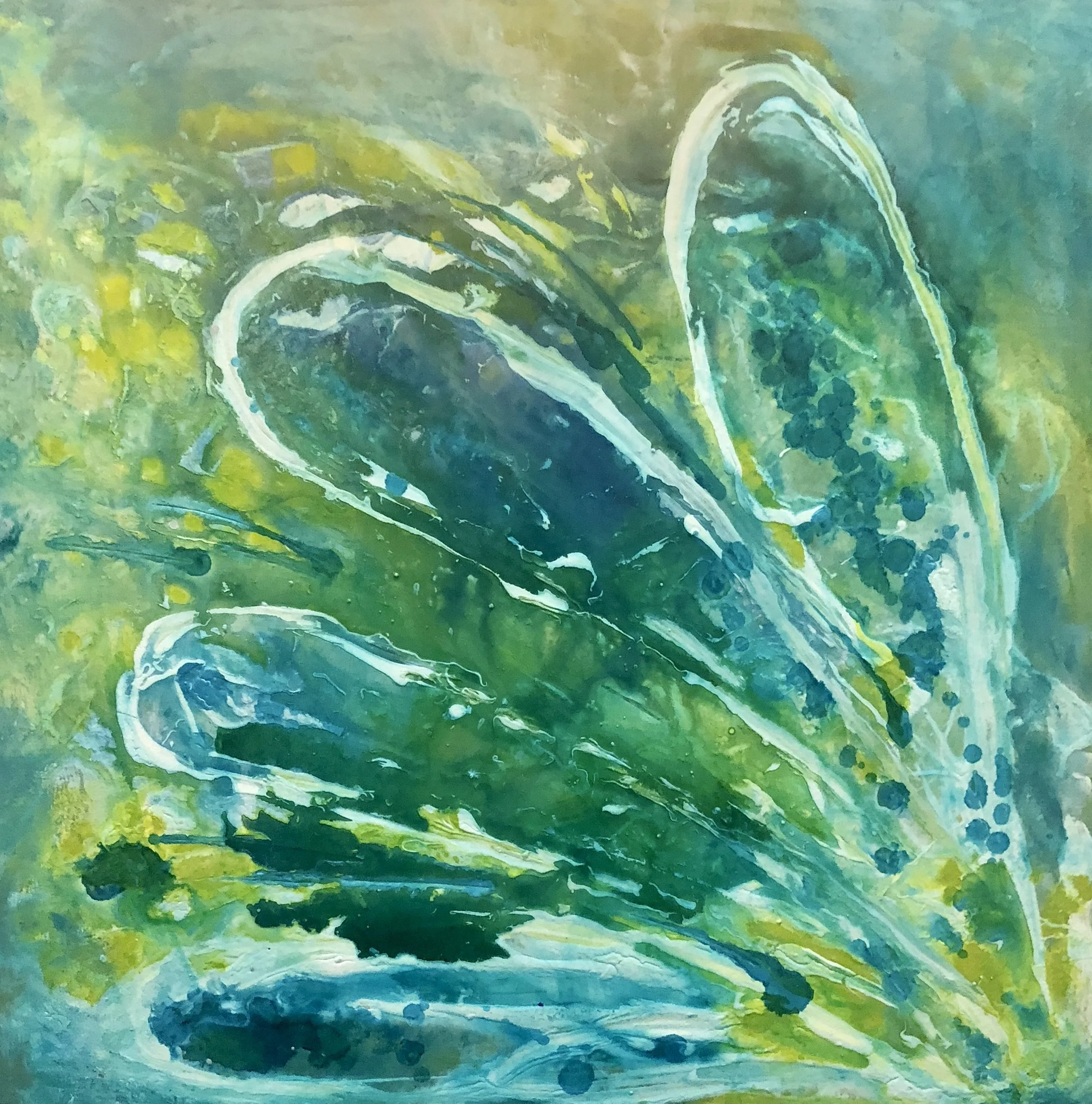 Petal Crush 24” x 24” x 1.5” acrylic on canvas $440 Available