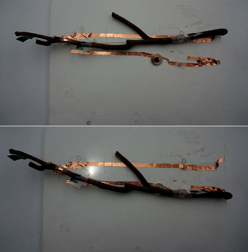 Step 2: Prototype. Pick up the nice shape of branches around any places. Place a small size branch and circuits for practice on a paper. The upper line of circuits is "off" and the bottom line is "on".