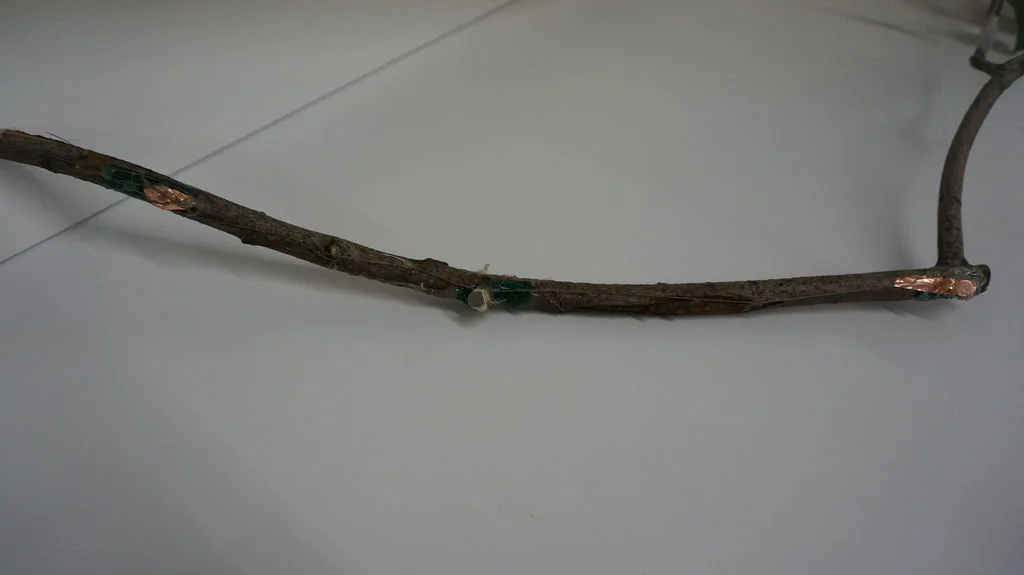 Step 6: Design and set up the branch.
