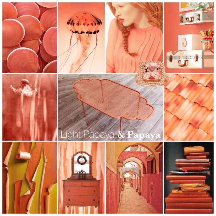 ColorStory_LightPapaya&Papaya_01.png