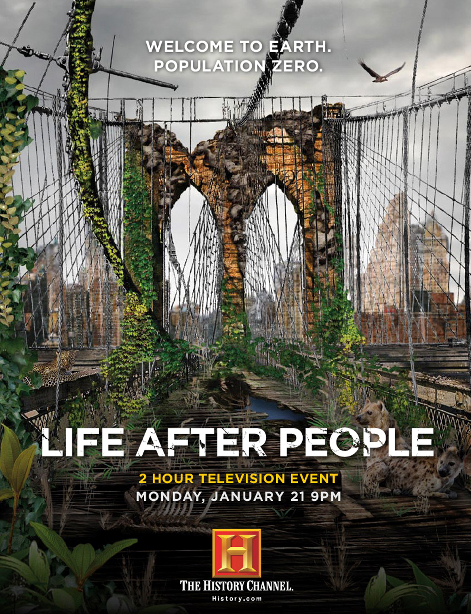 Life After People Advertisement