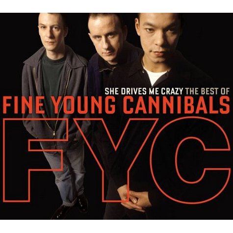 Fine+Young+Cannibals+-+She+Drives+Me+Crazy-+The+Best+Of+-+DOUBLE+CD-460720.jpg