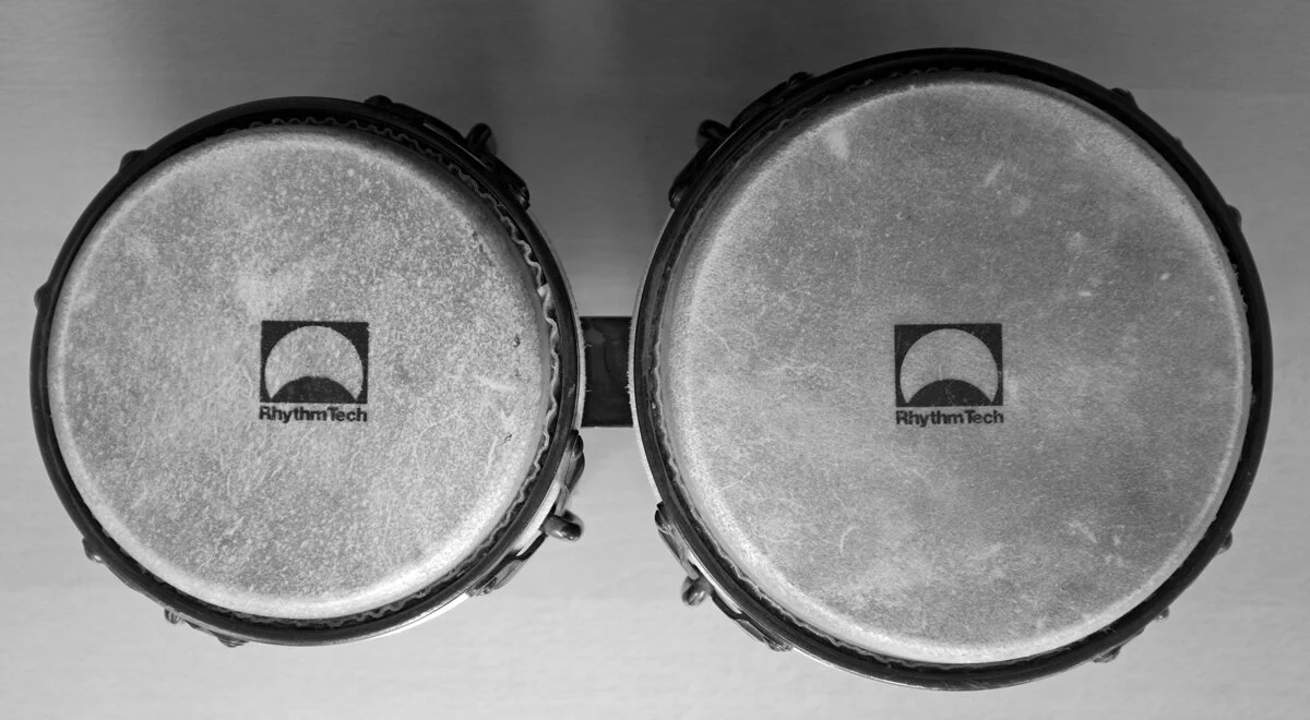 easy bongos.jpeg