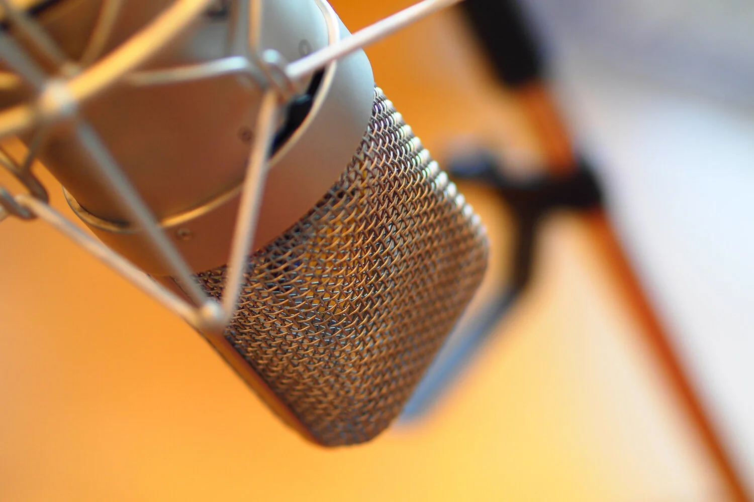 neumann Q1010191.jpeg