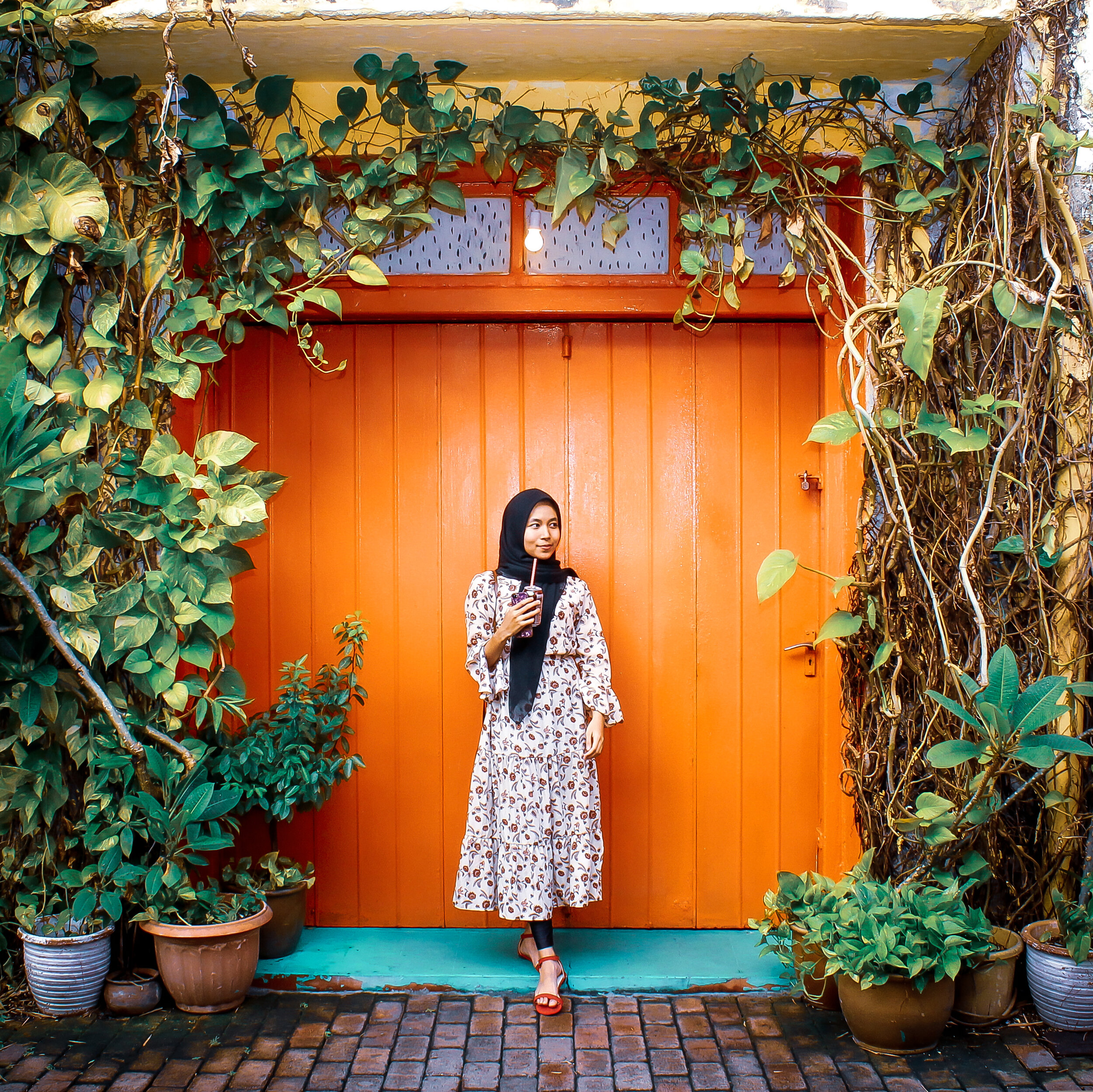 Plant Portrait - Advanced | Nizam Matjam