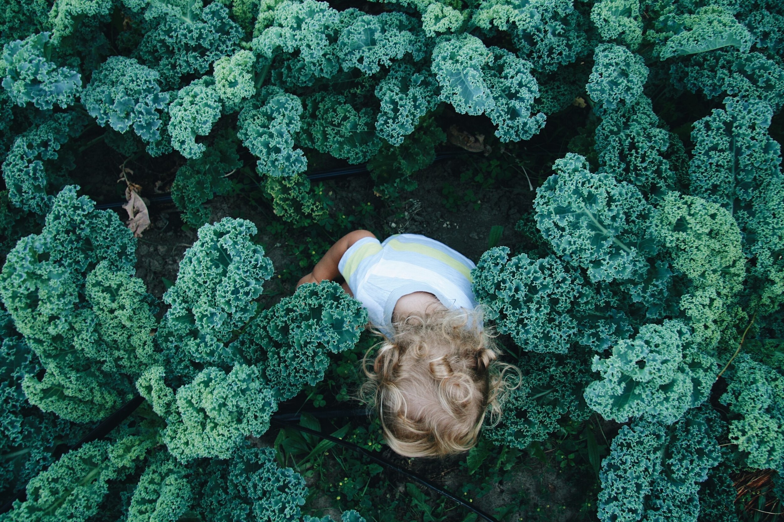 Farm Lifestyle - Expert | Suzanna West