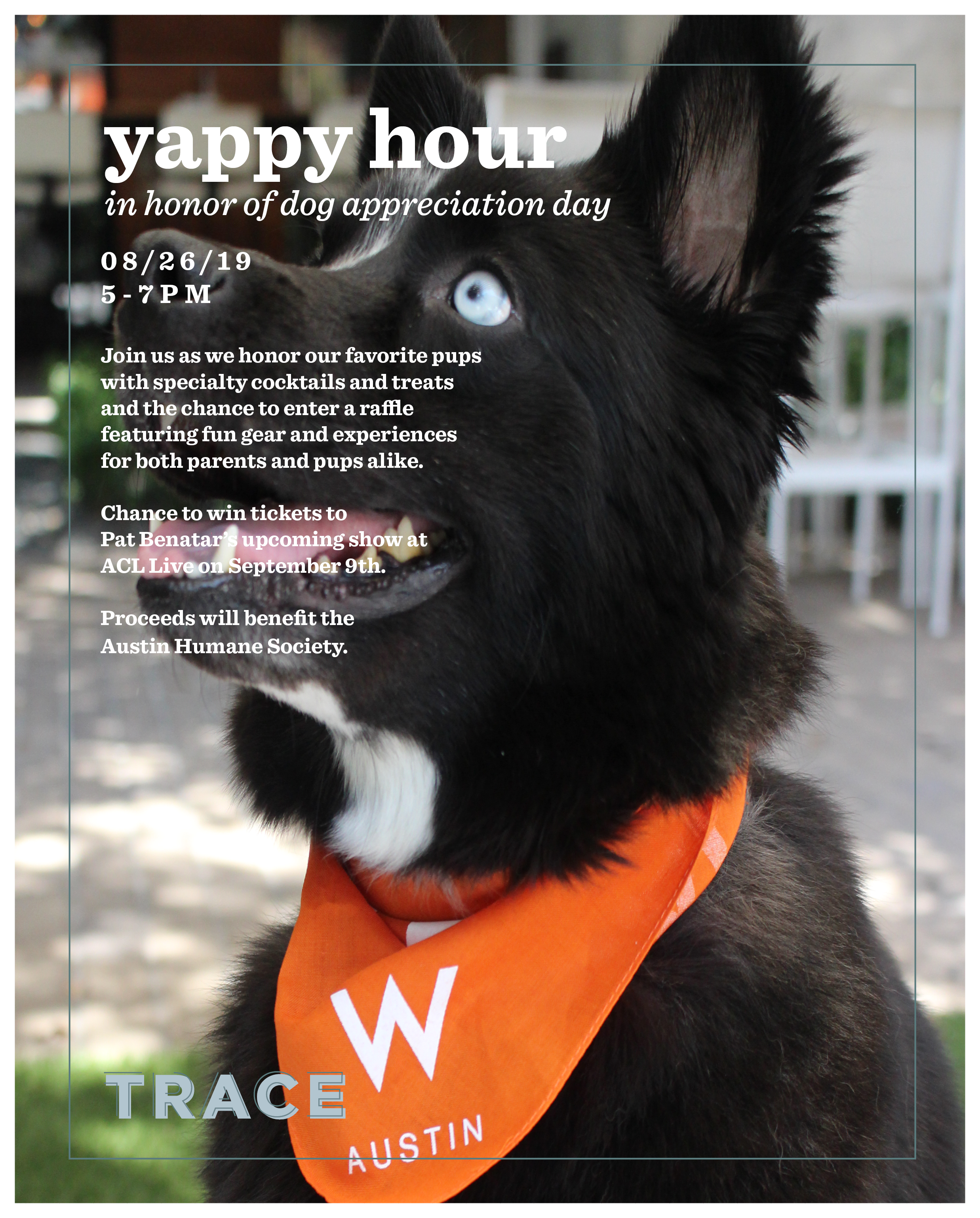 August Dog Appreciation Happy Hour.png