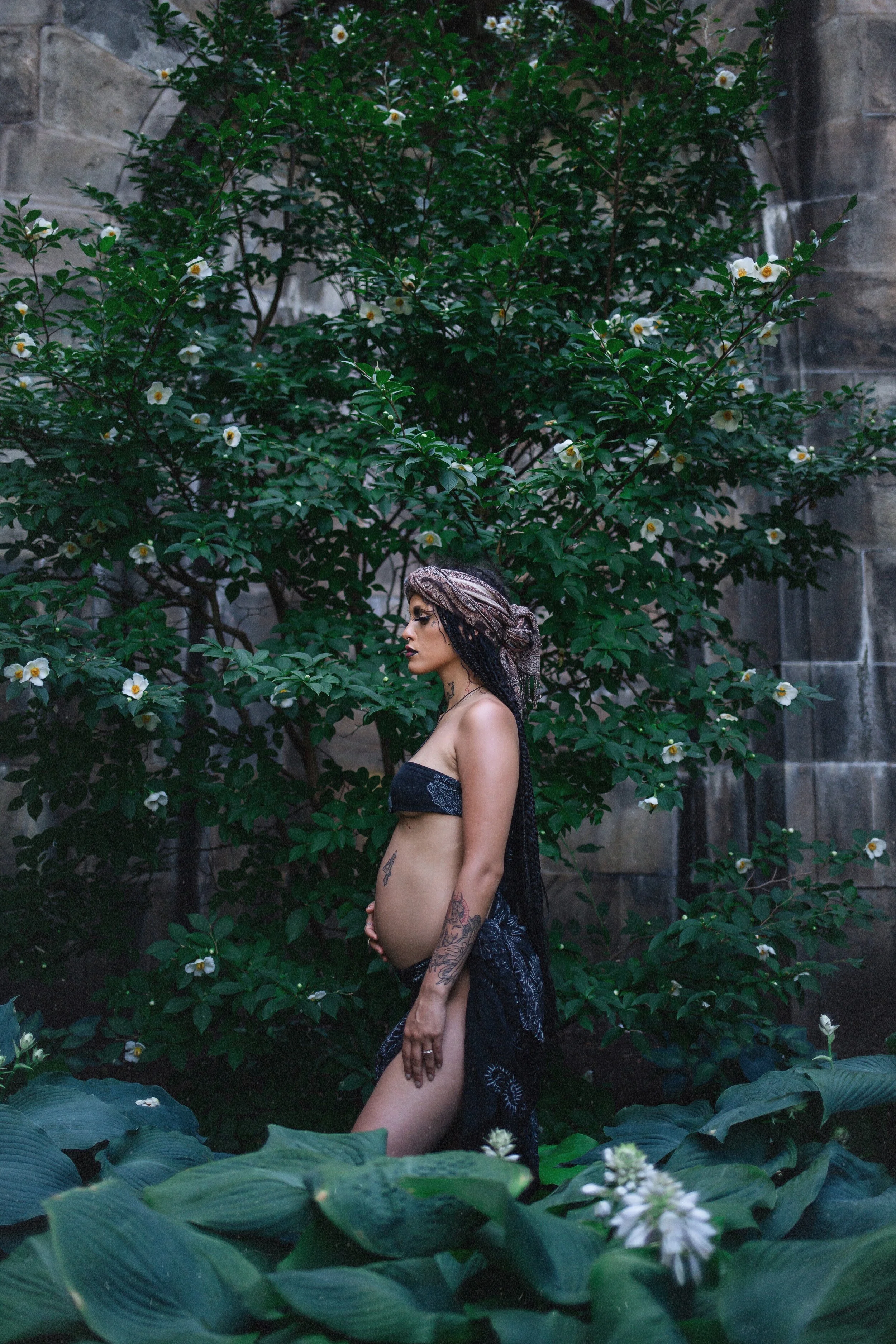 AfterlightImage 3.JPEG