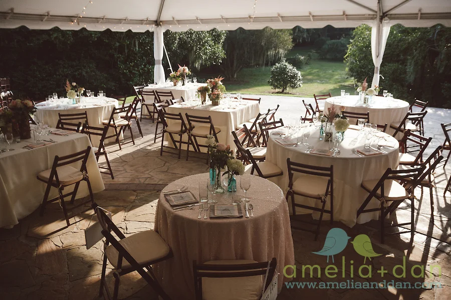 amelia & dan