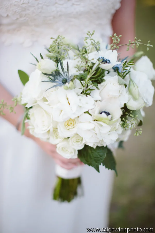 Paige Winn Photography