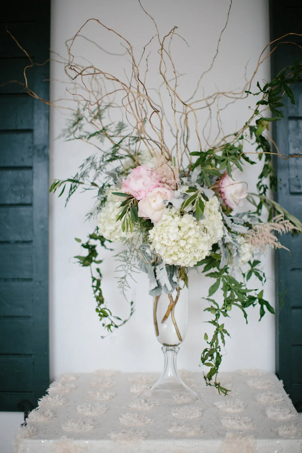 Paige Winn Photo
