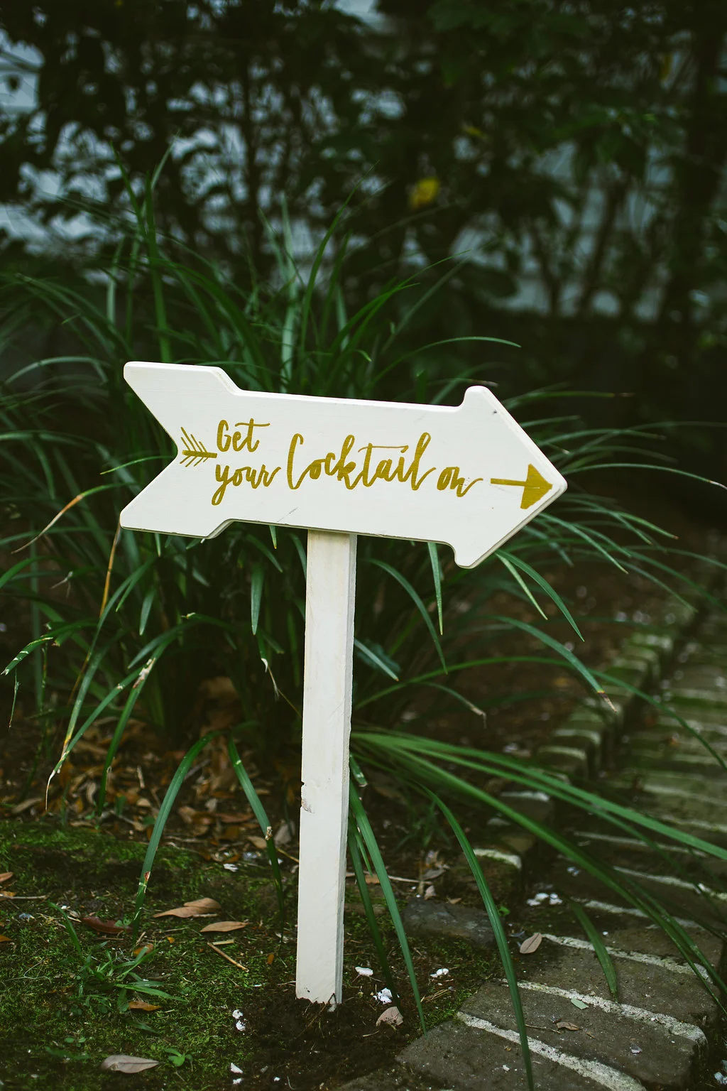 Bette Walker Photography