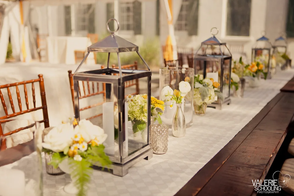   Valerie &amp; Co. Photographers  