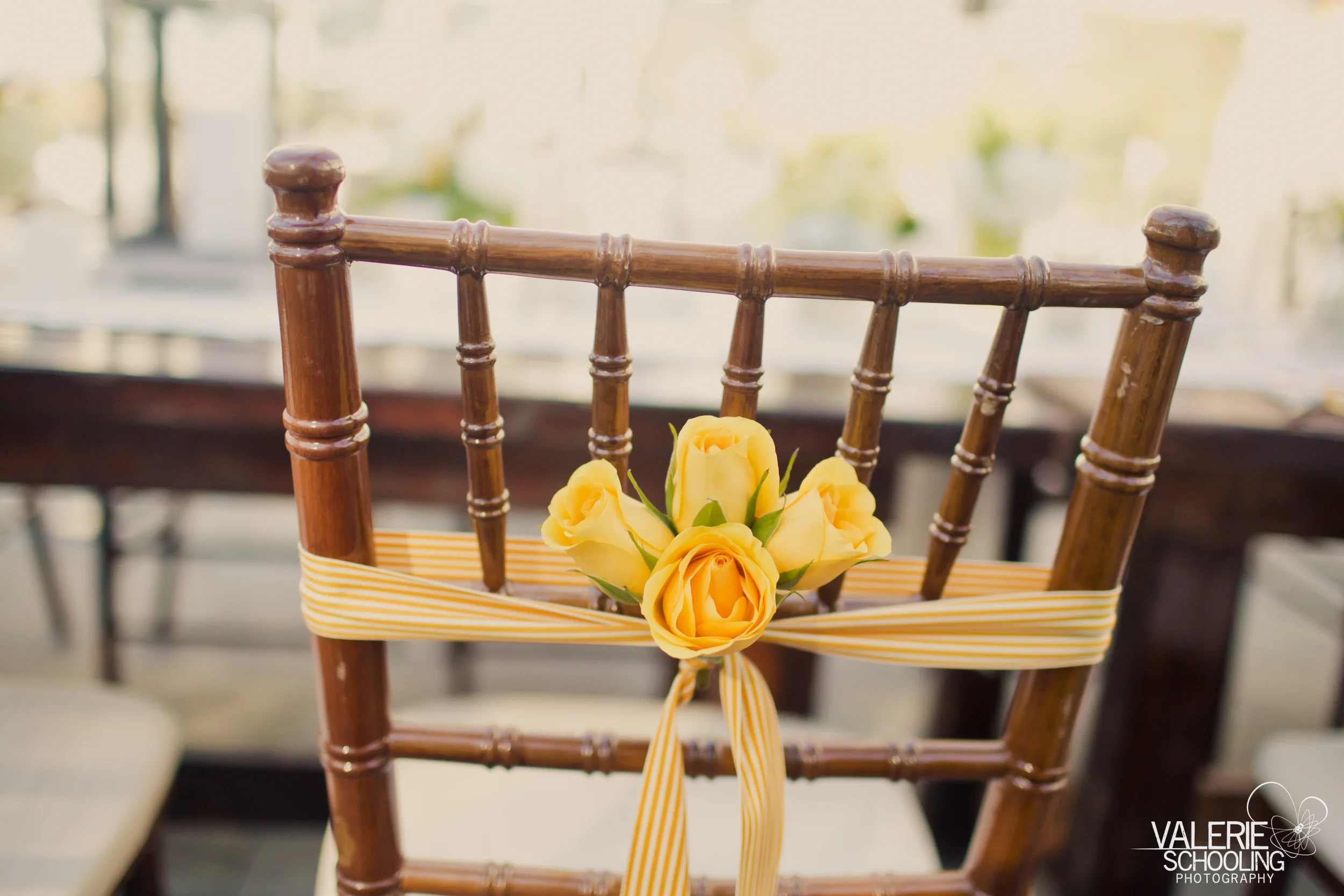   Valerie &amp; Co. Photographers  