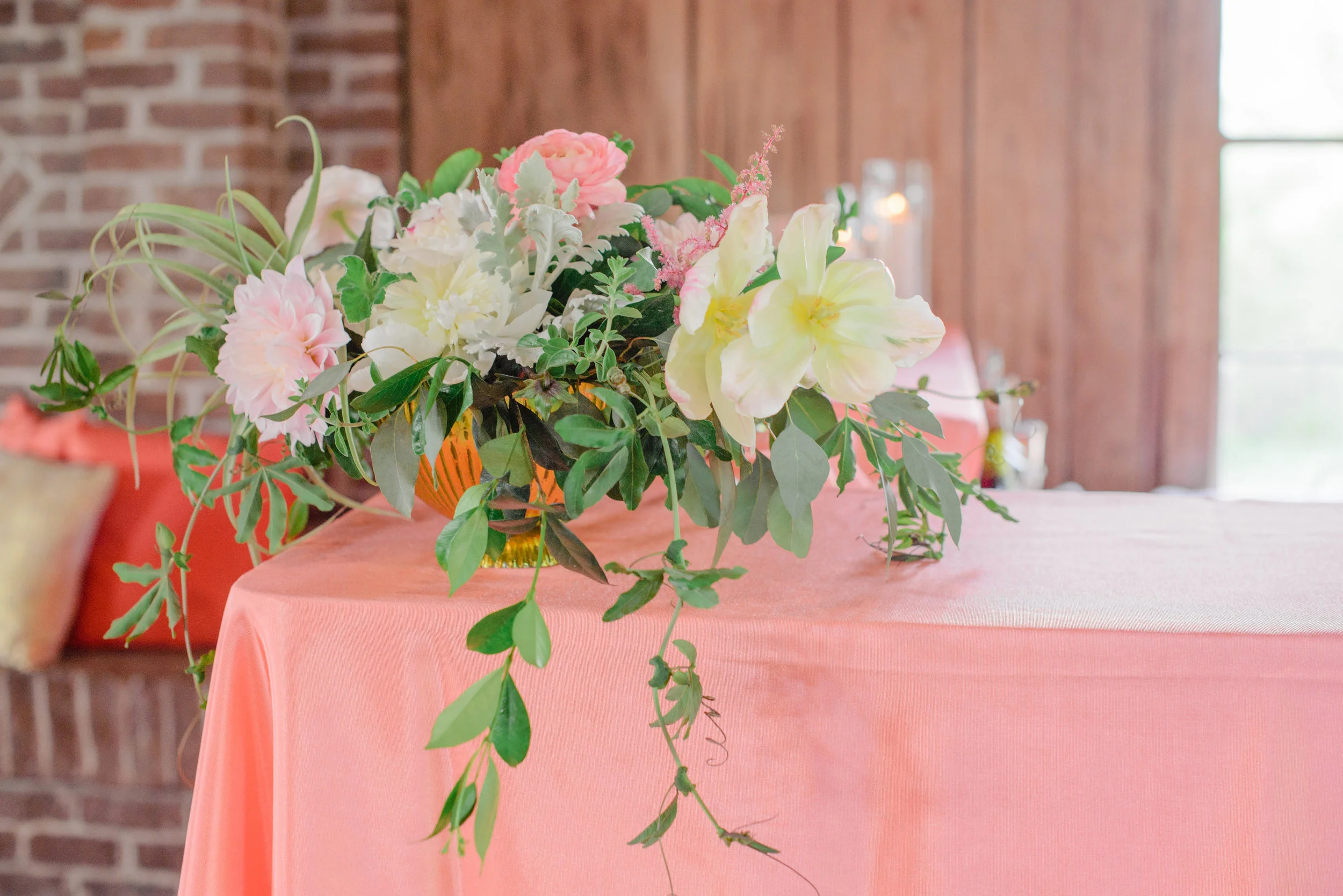   Priscilla Thomas Photography  