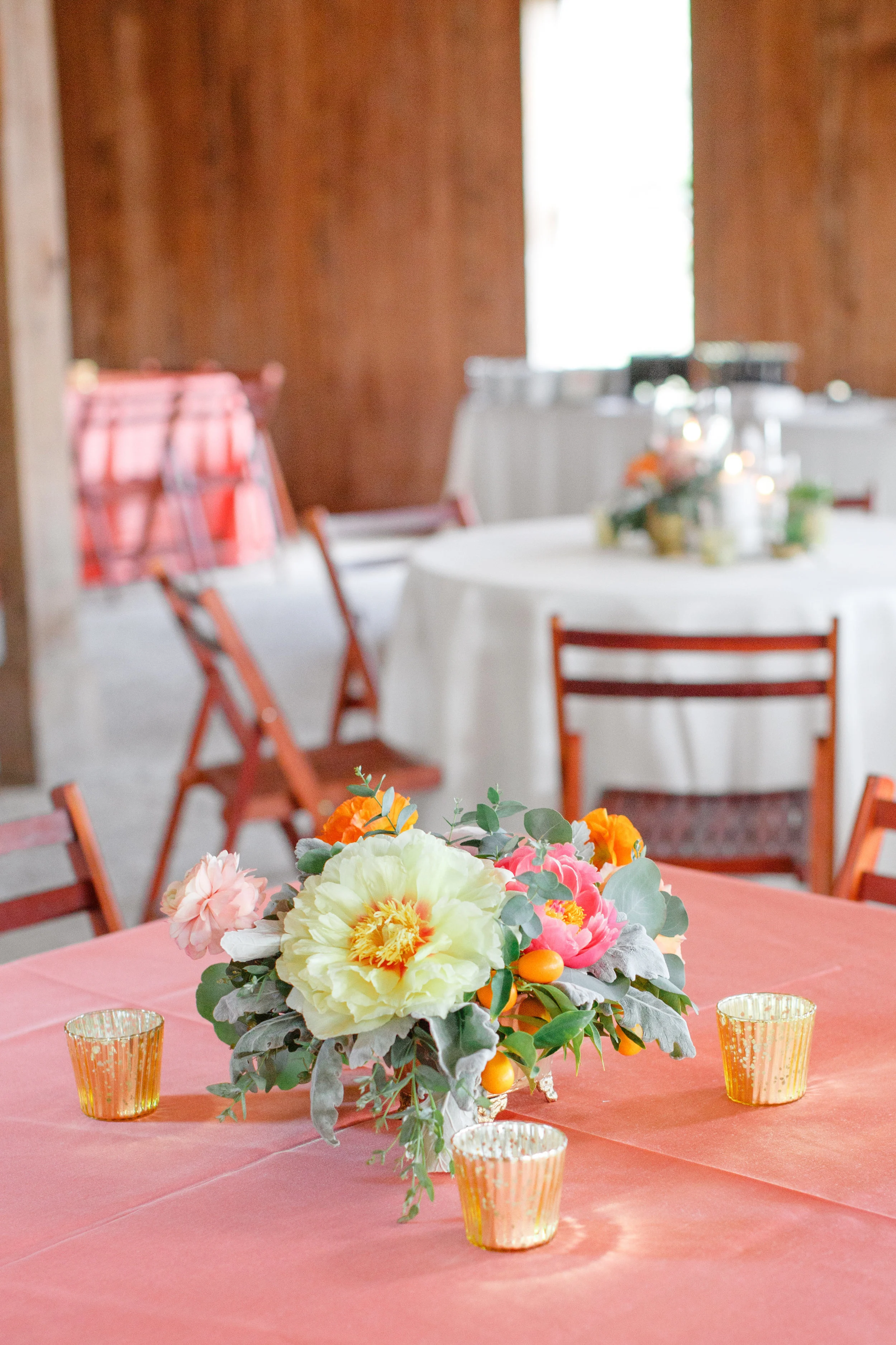   Priscilla Thomas Photography  