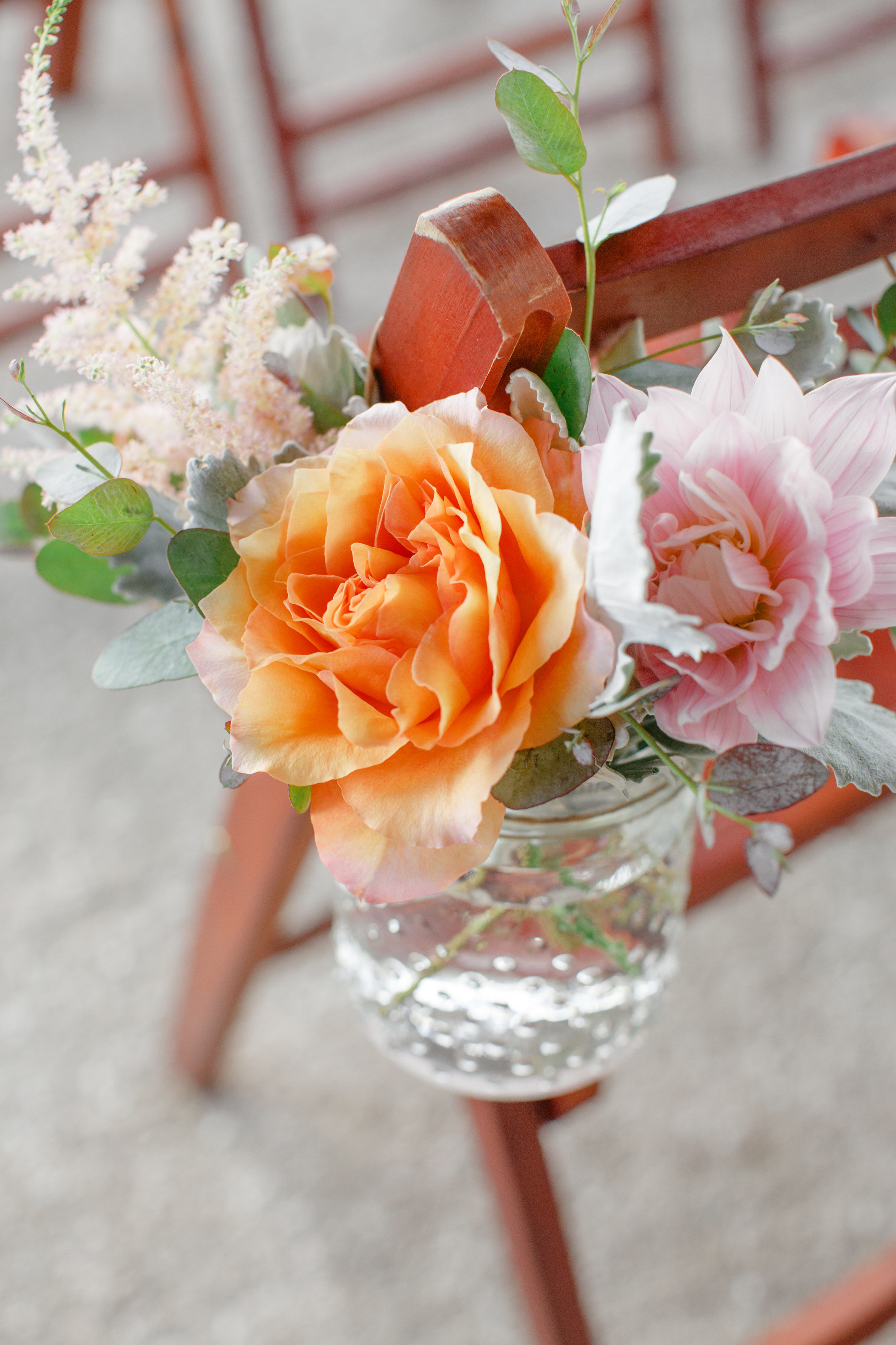   Priscilla Thomas Photography  