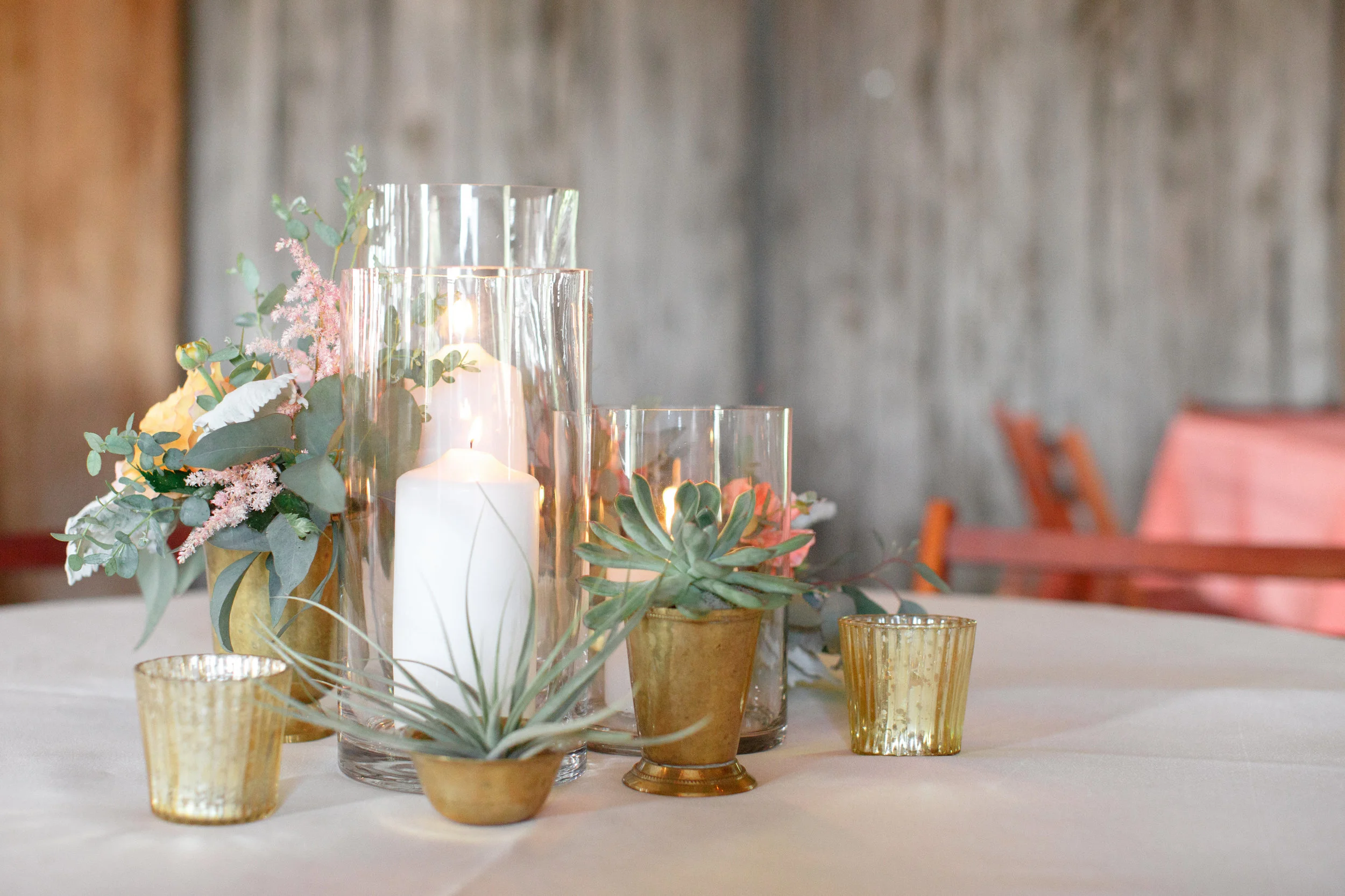   Priscilla Thomas Photography  