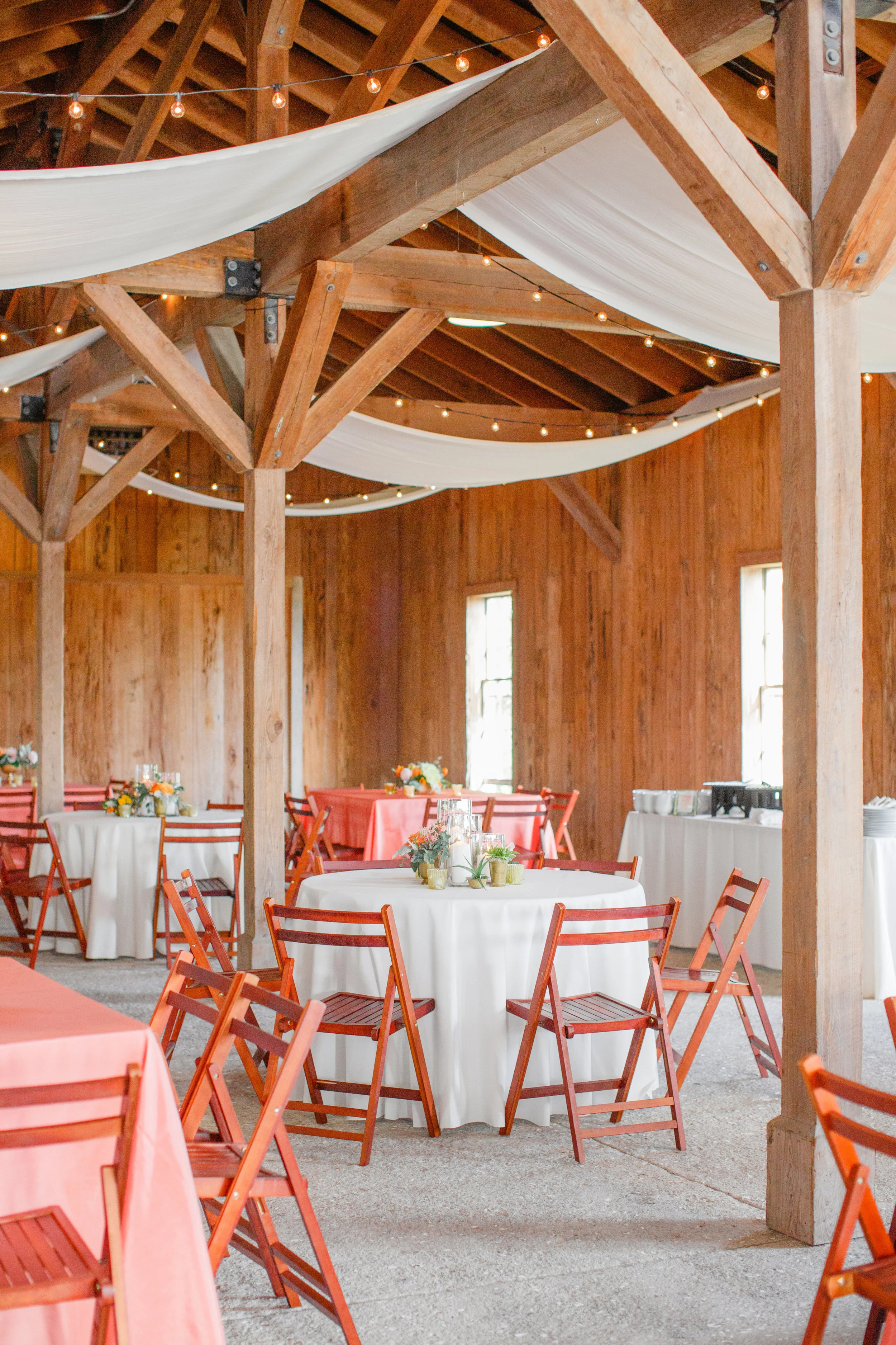   Priscilla Thomas Photography  