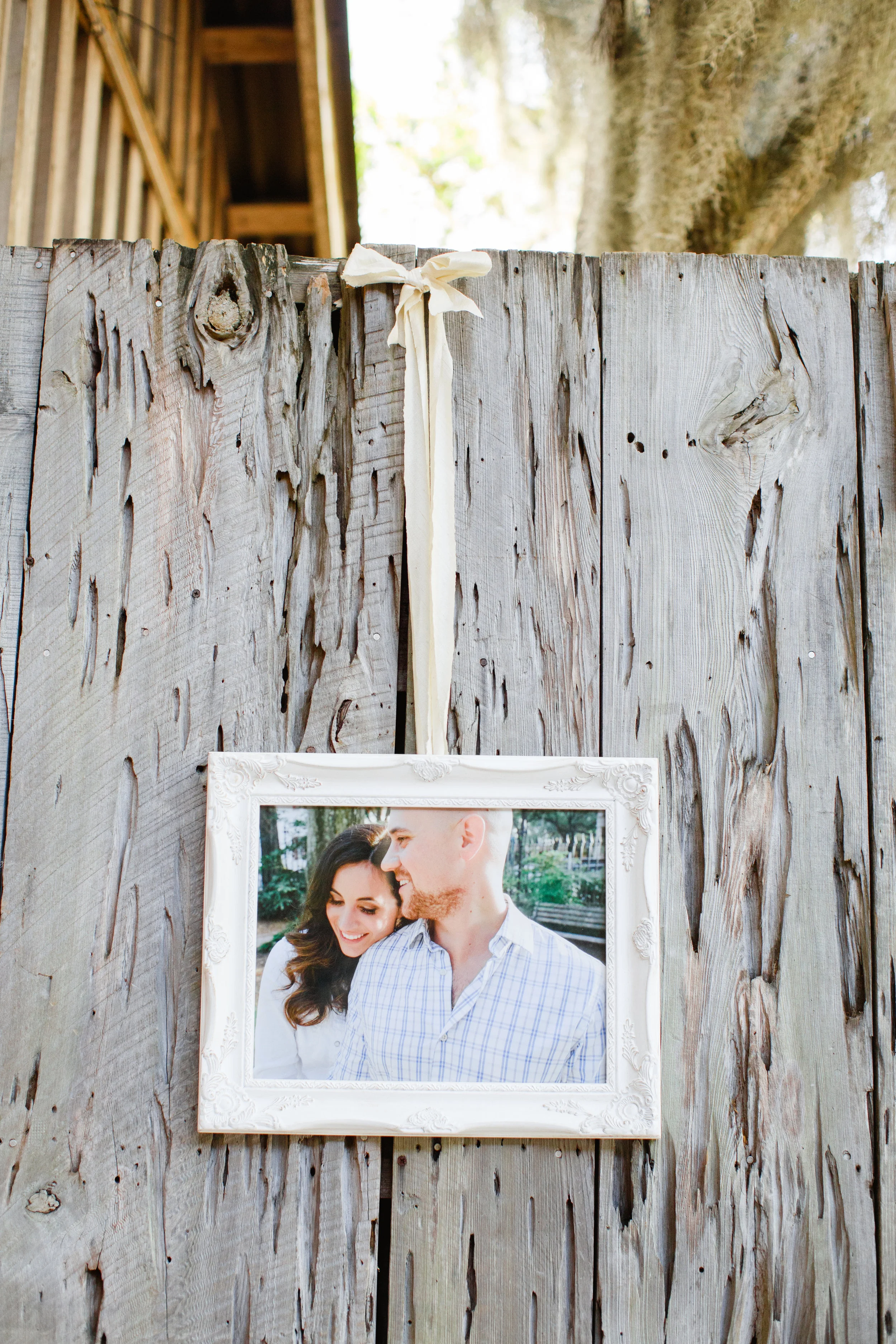   Priscilla Thomas Photography  