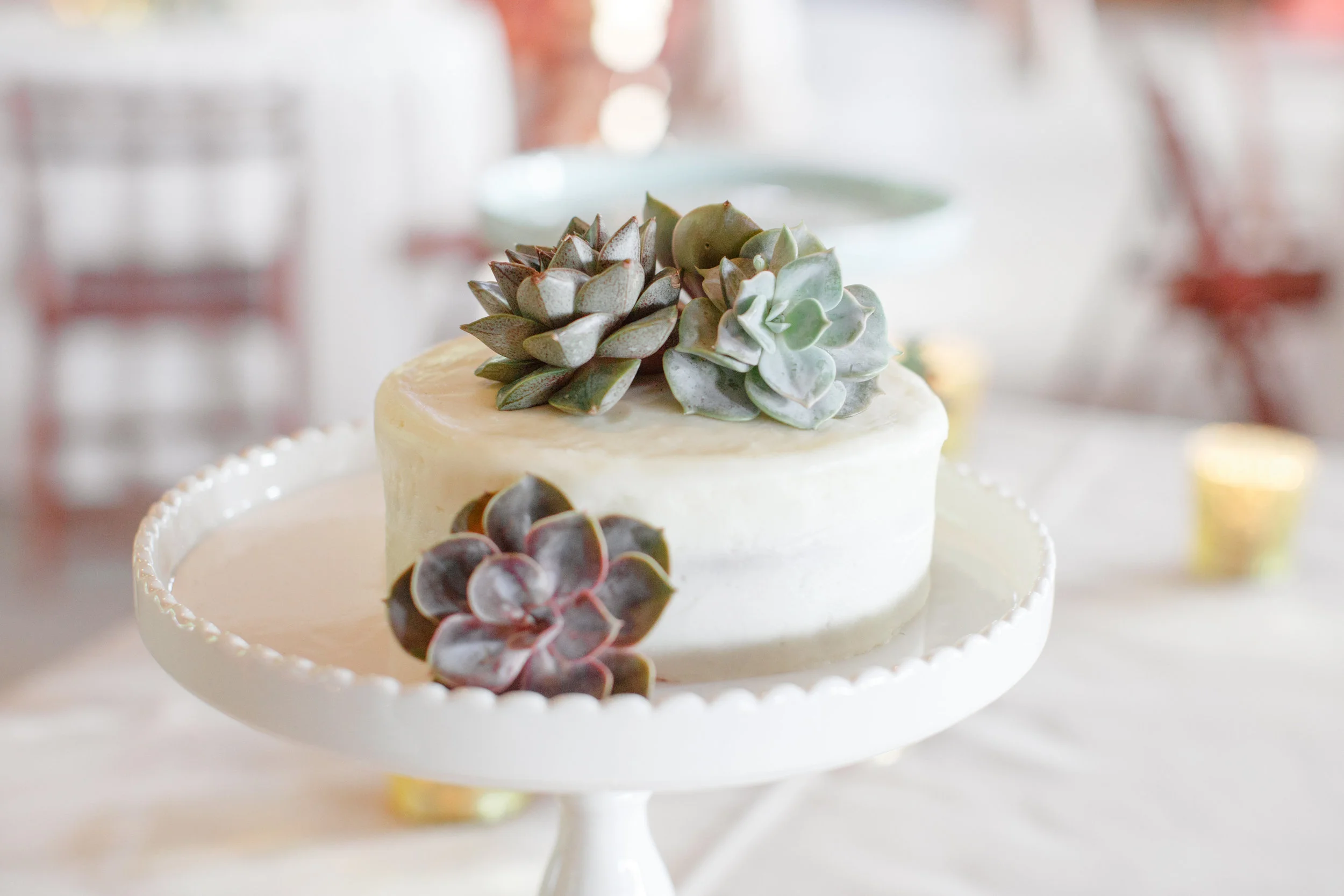   Priscilla Thomas Photography  