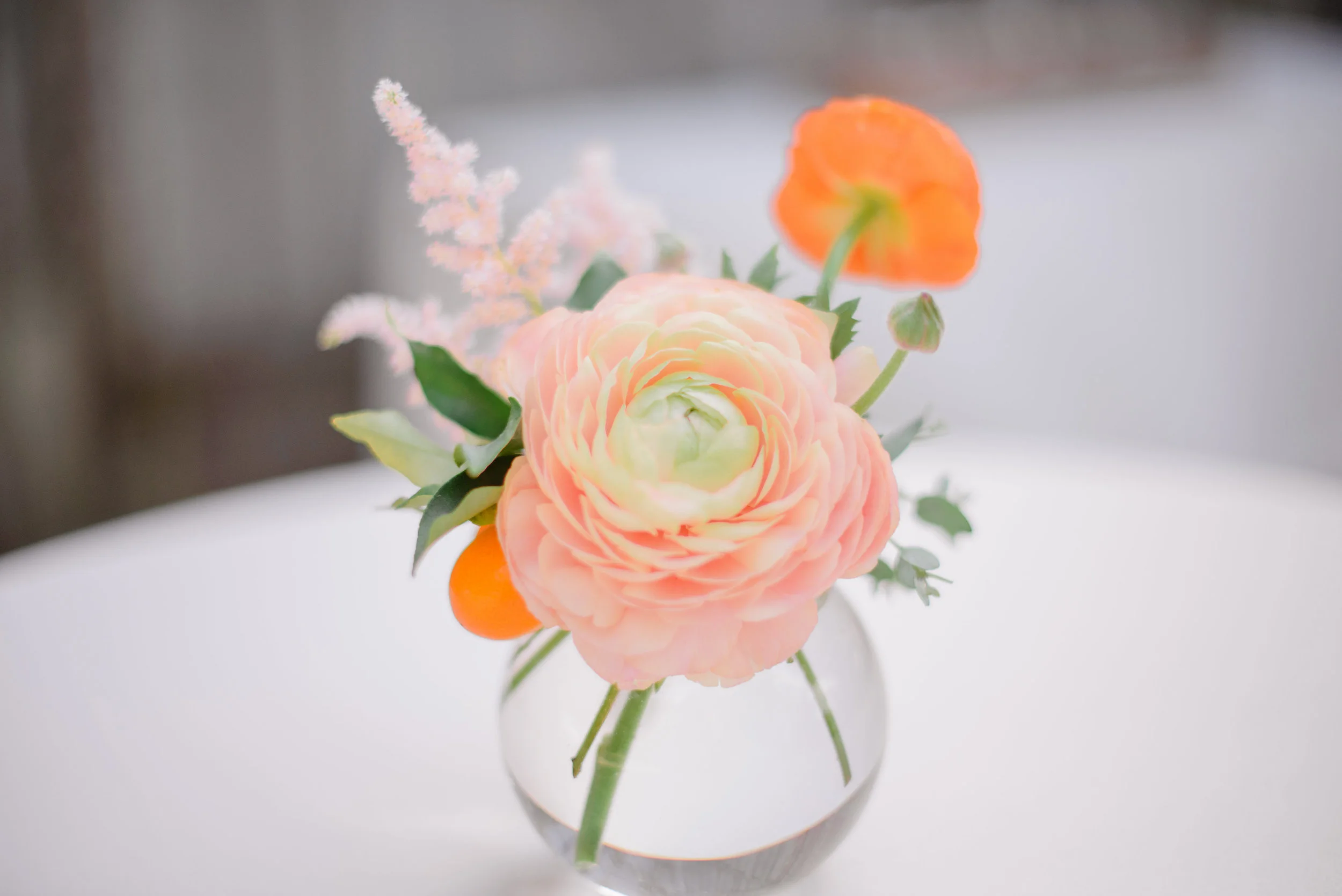   Priscilla Thomas Photography  