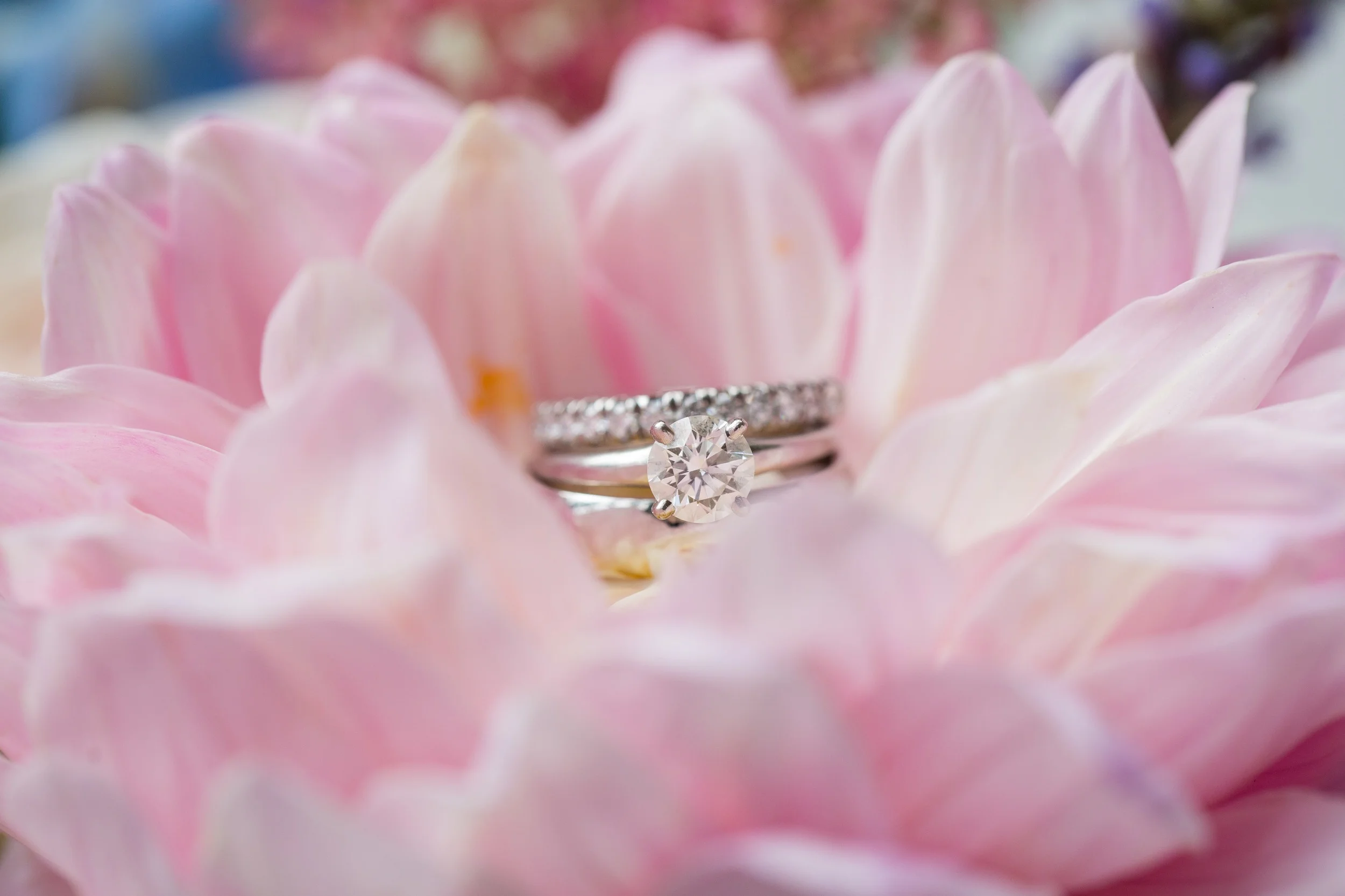   Hunter McCrae Photography  