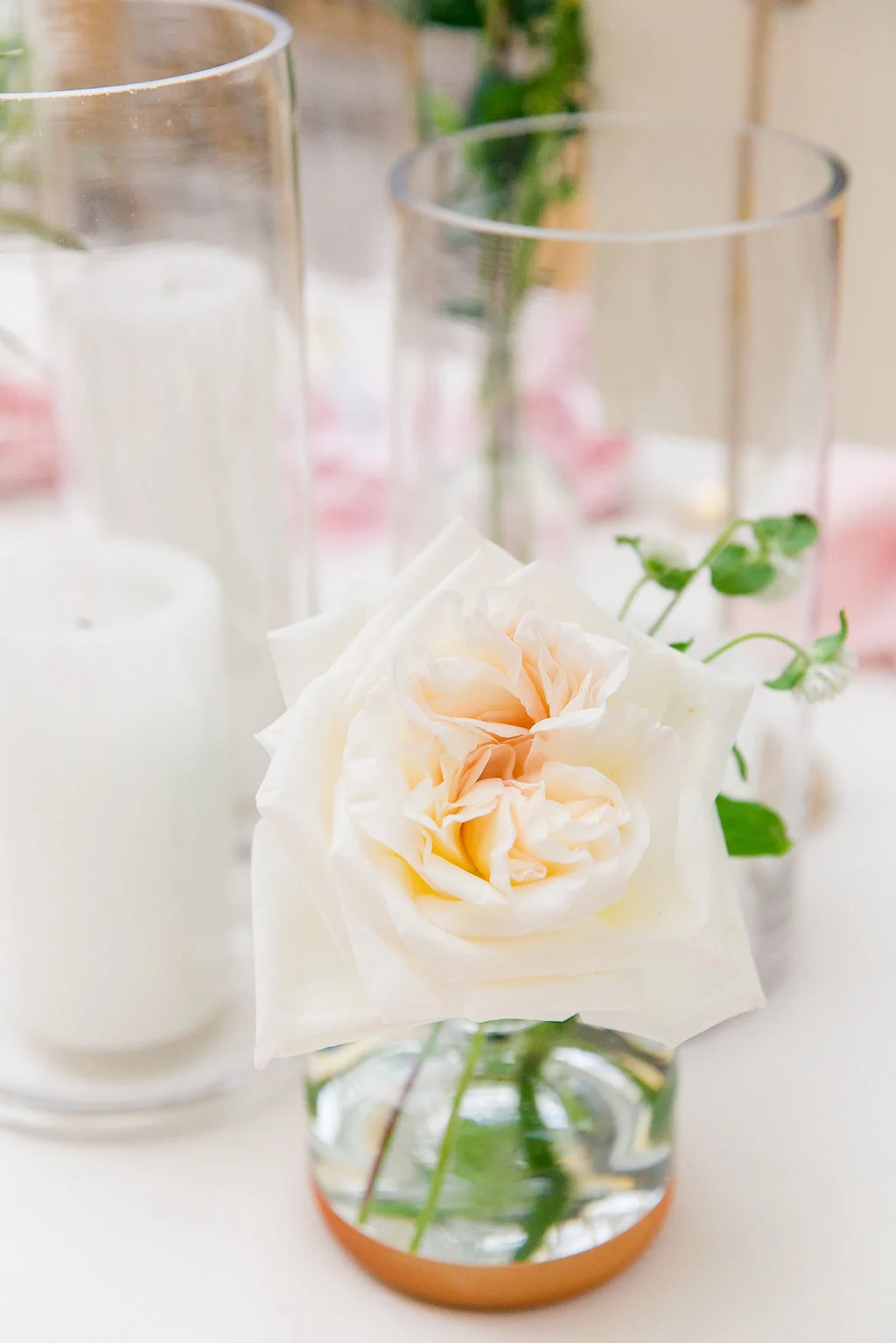   Dana Cubbage Weddings  