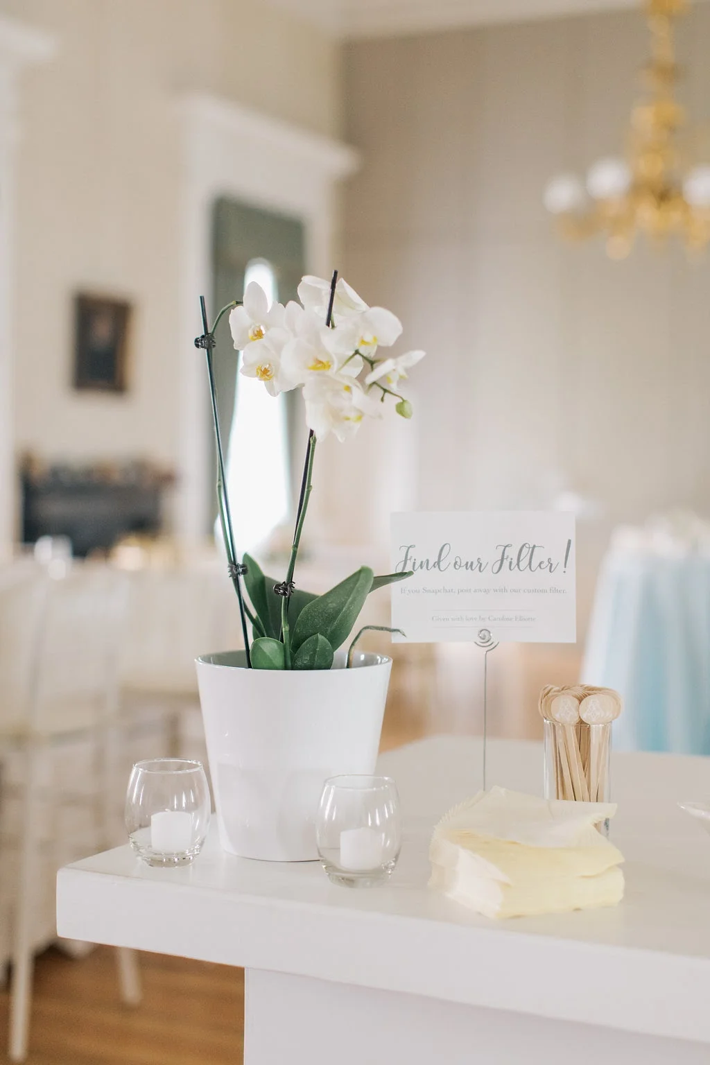   Shannon Michele Photography  