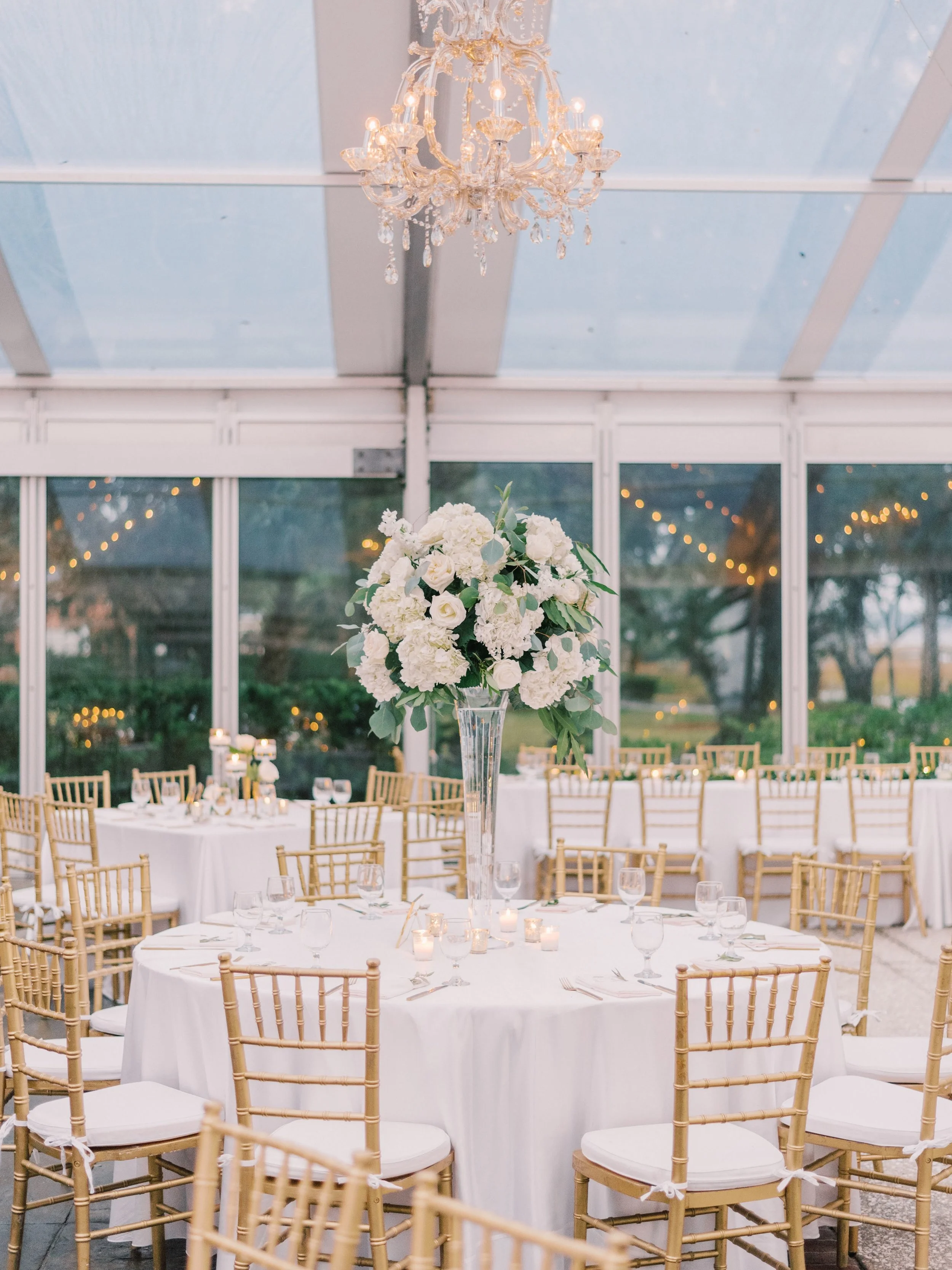   Rachel Red Photography  