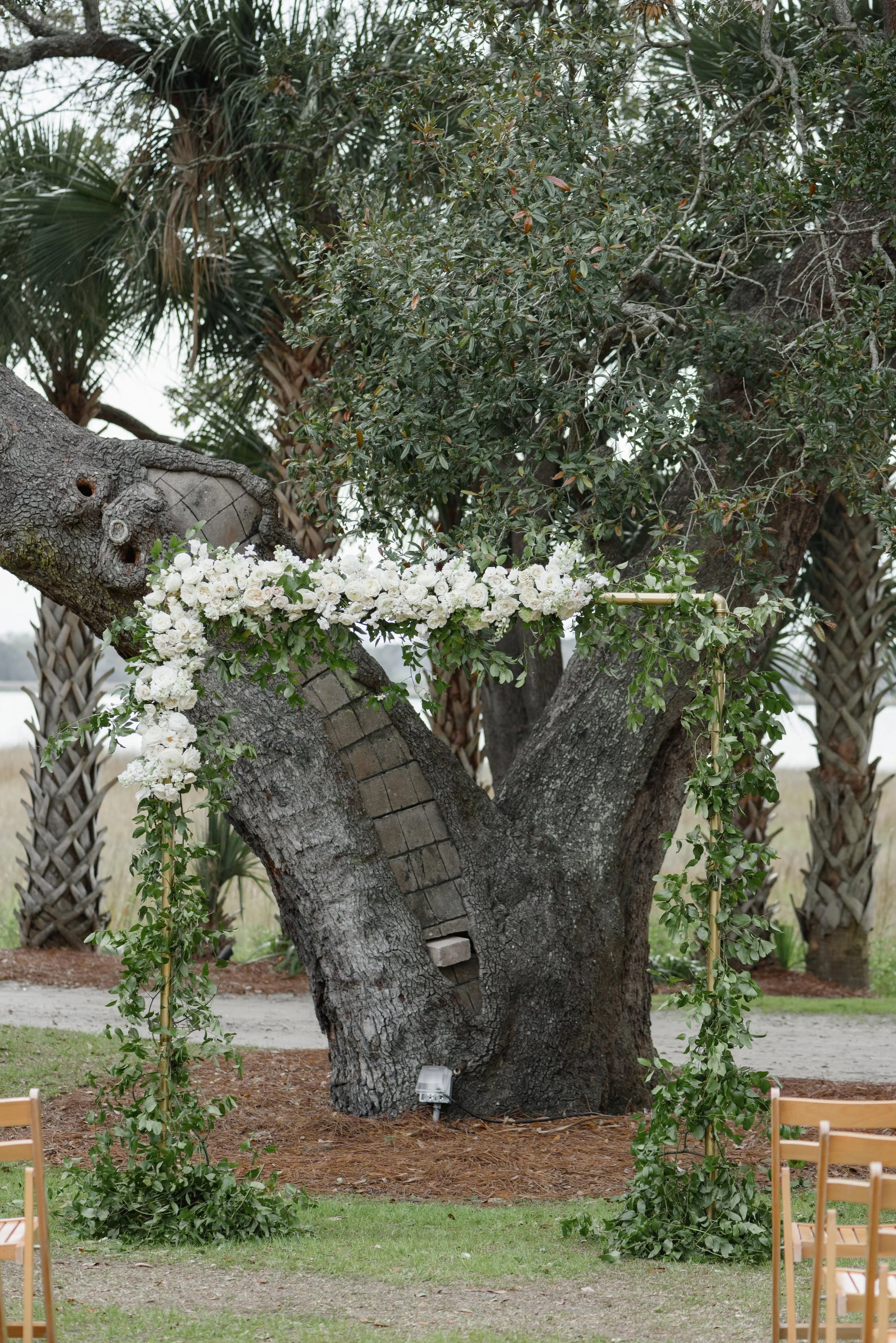   Priscilla Thomas Photography  