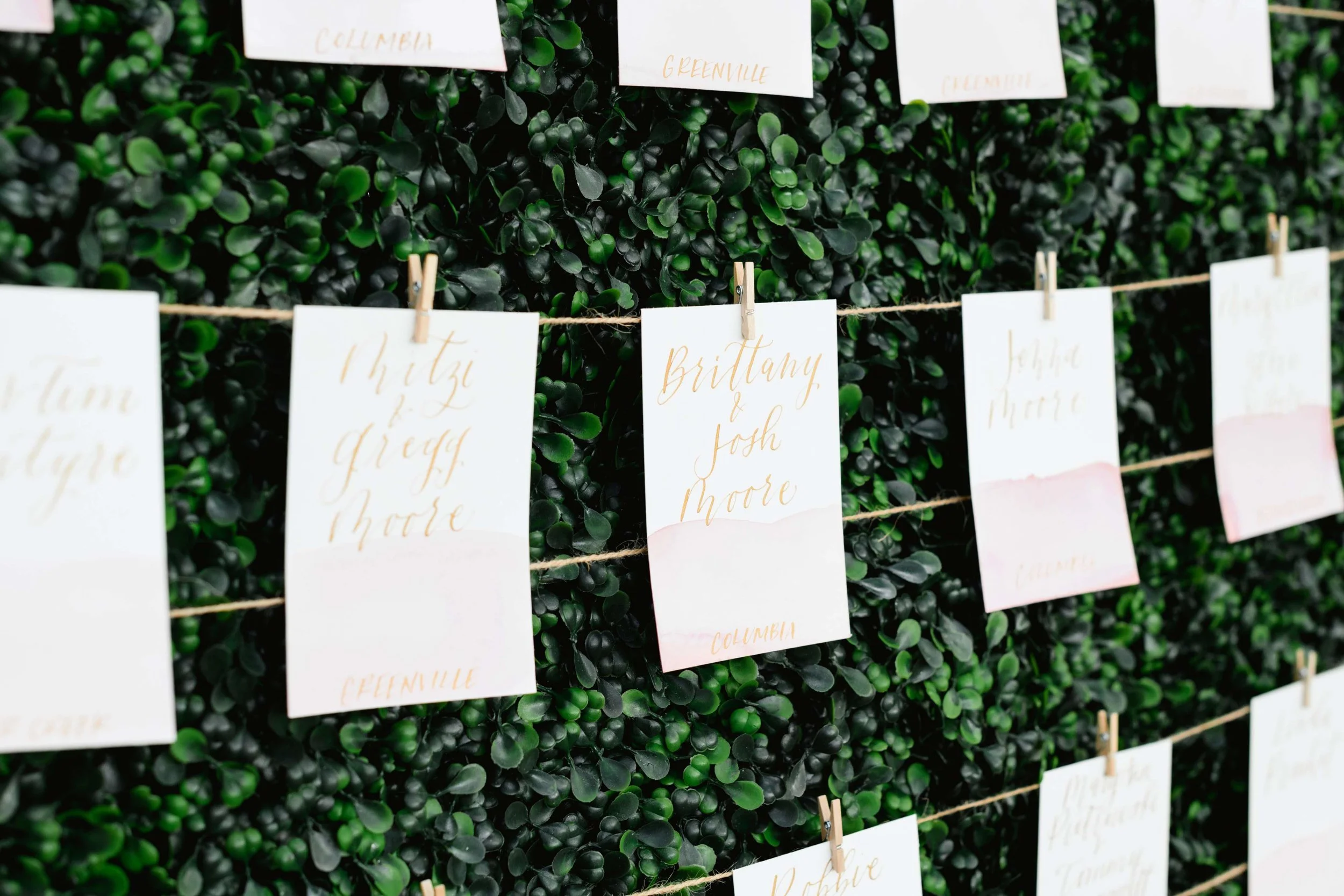   Priscilla Thomas Photography  