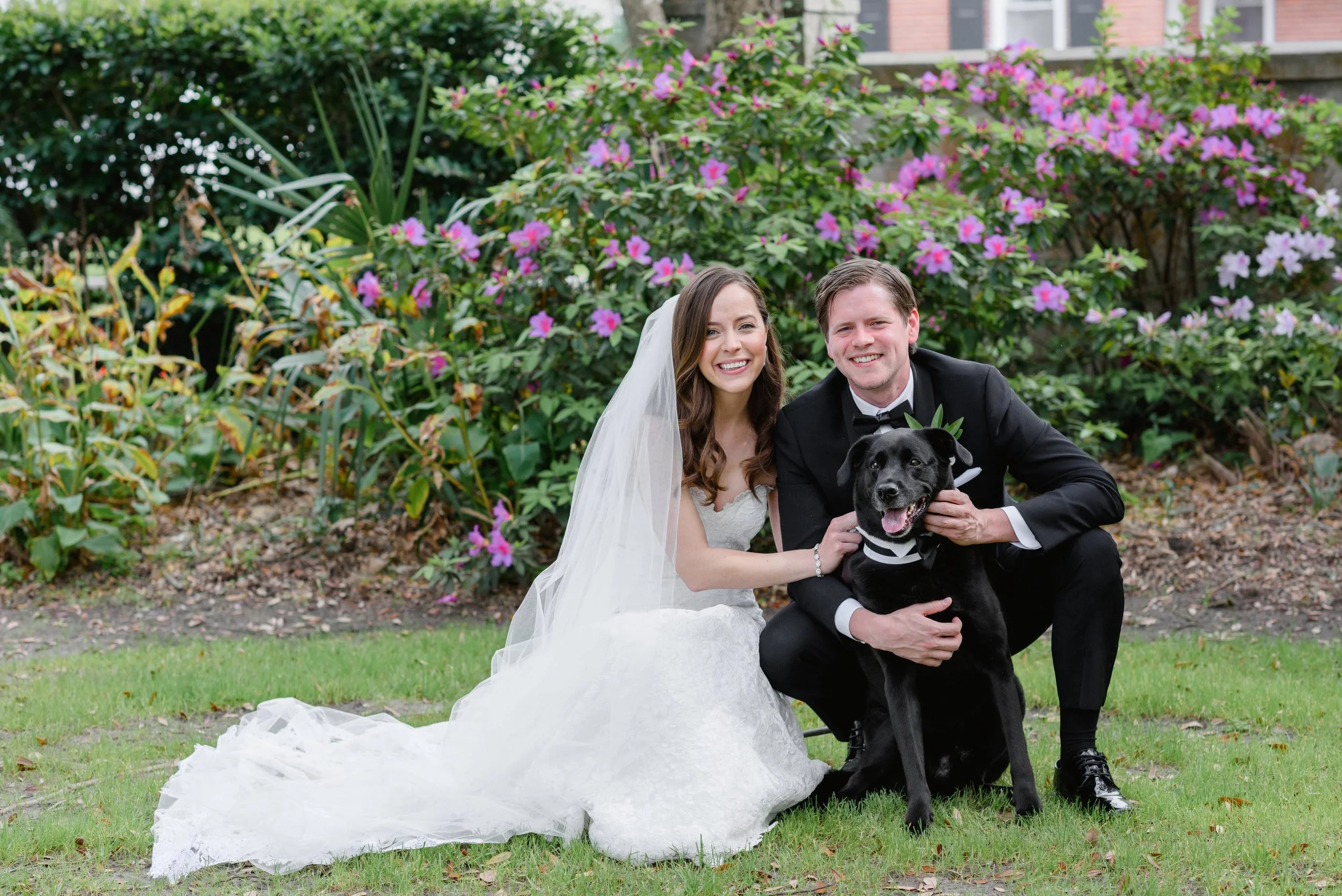   Priscilla Thomas Photography  